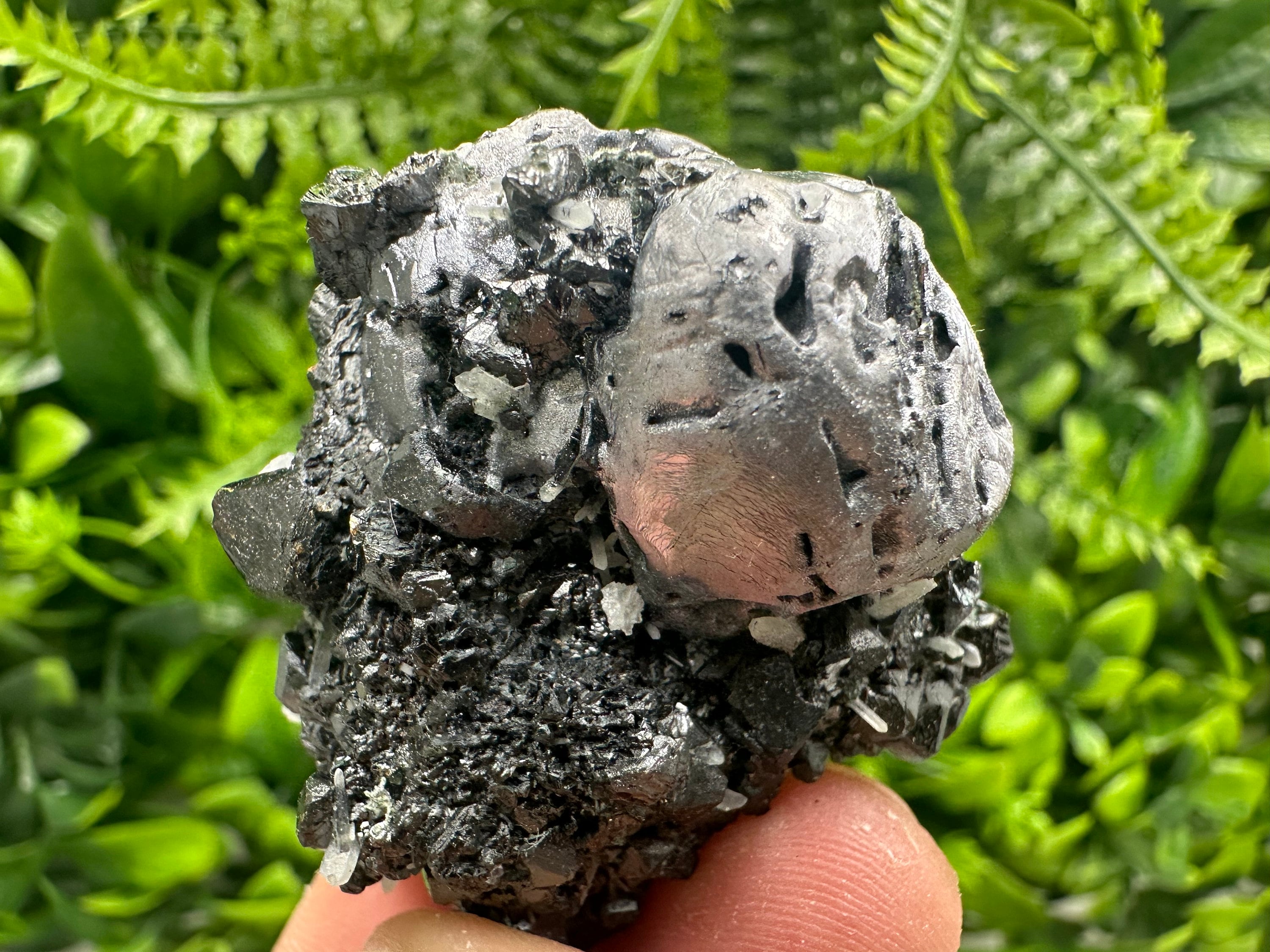 Mirror Galena, Calcite, Sphalerite on Quartz with Chlorite, Borieva Bulgaria