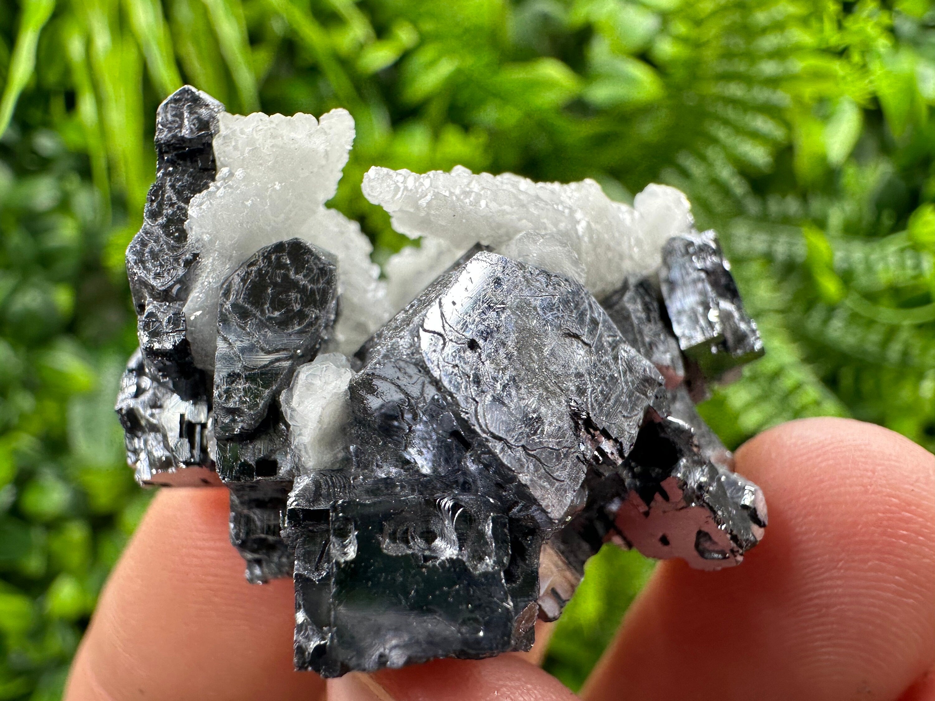 Rare Calcite on Galena: Borieva Mine, Bulgaria