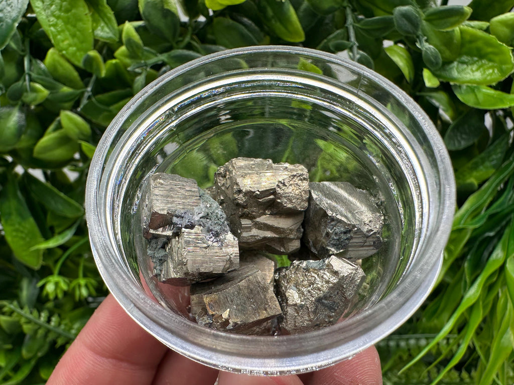 Golden Pyrite Cubes in Box: Collection Stone, Gift, Souvenir