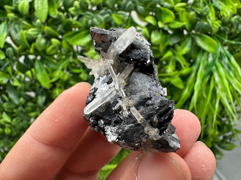 Wonderful Sphalerite Chalcopyrite on  Quartz whit Hematite feom 9 th September mine,Bulgaria,natural,collection mineral specimen,gift