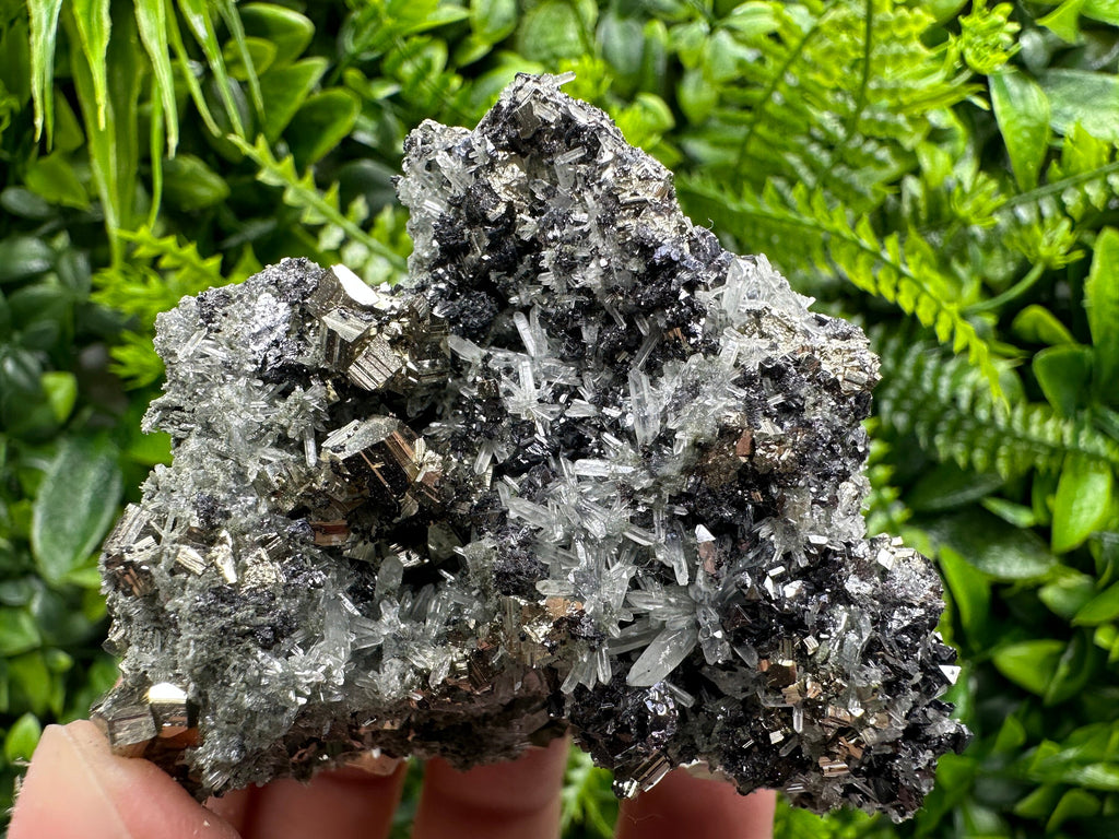 Pyrite on Quartz with Chlorite, Natural Crystal Decor, Borieva Bulgaria