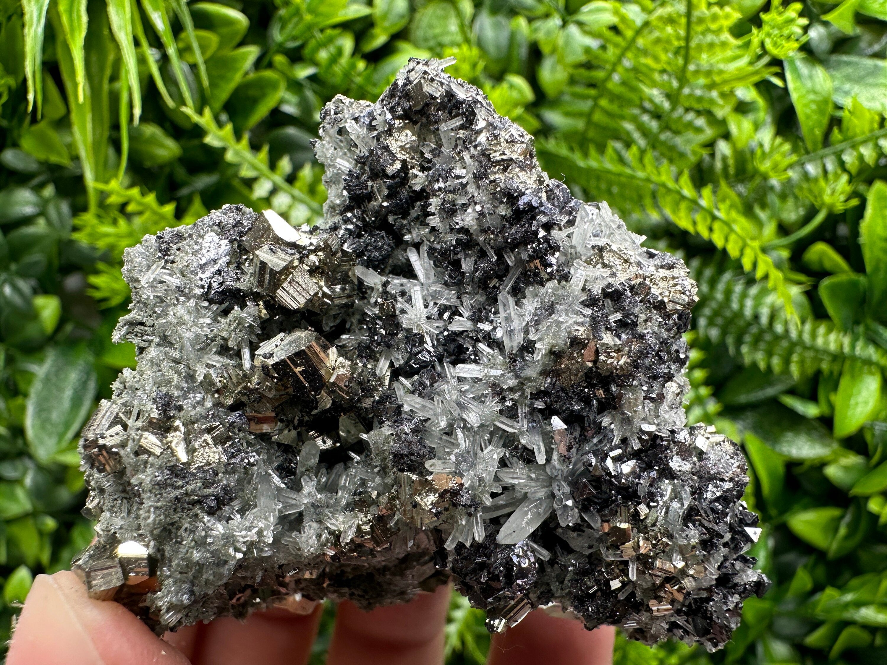 Pyrite on Quartz with Chlorite, Natural Crystal Decor, Borieva Bulgaria