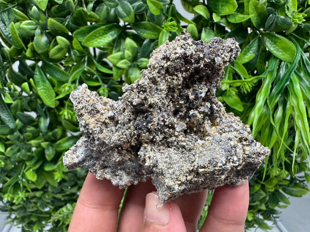 Pyrite Galena on Green Quartz: Chlorite Mineral Specimen, Bulgaria