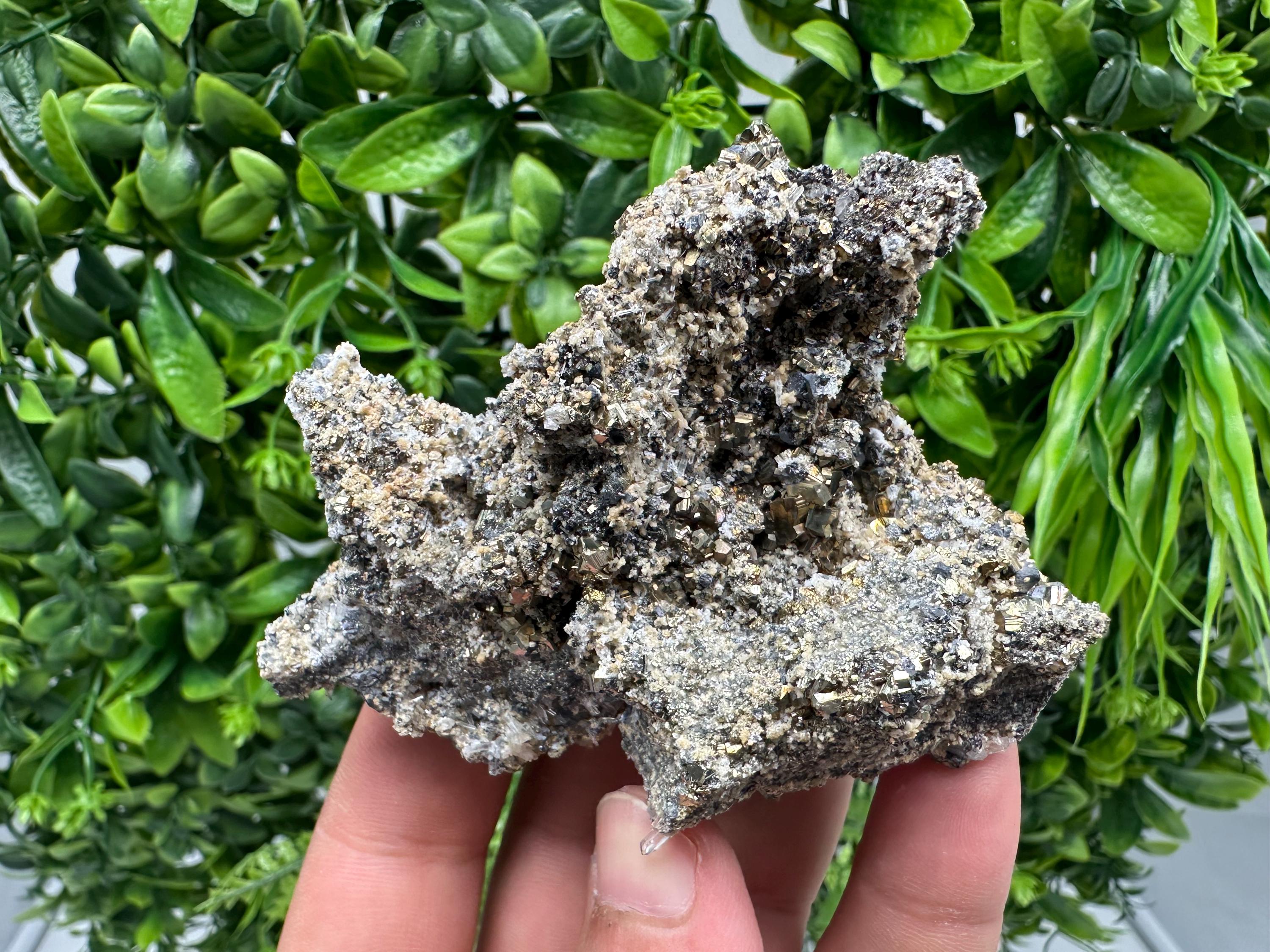 Pyrite Galena on Green Quartz: Chlorite Mineral Specimen, Bulgaria