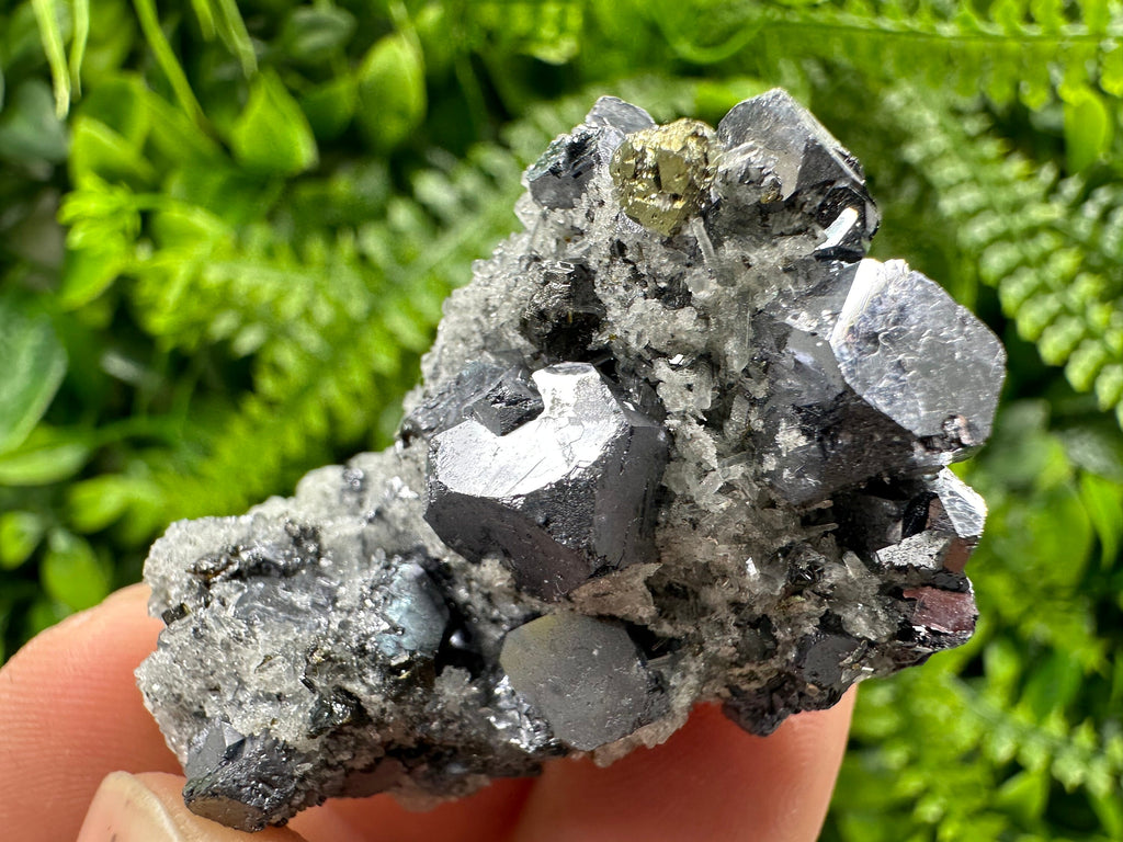 Galena Chalcopyrite on Quartz, Crystal Home Decor, Borieva Mine Bulgaria