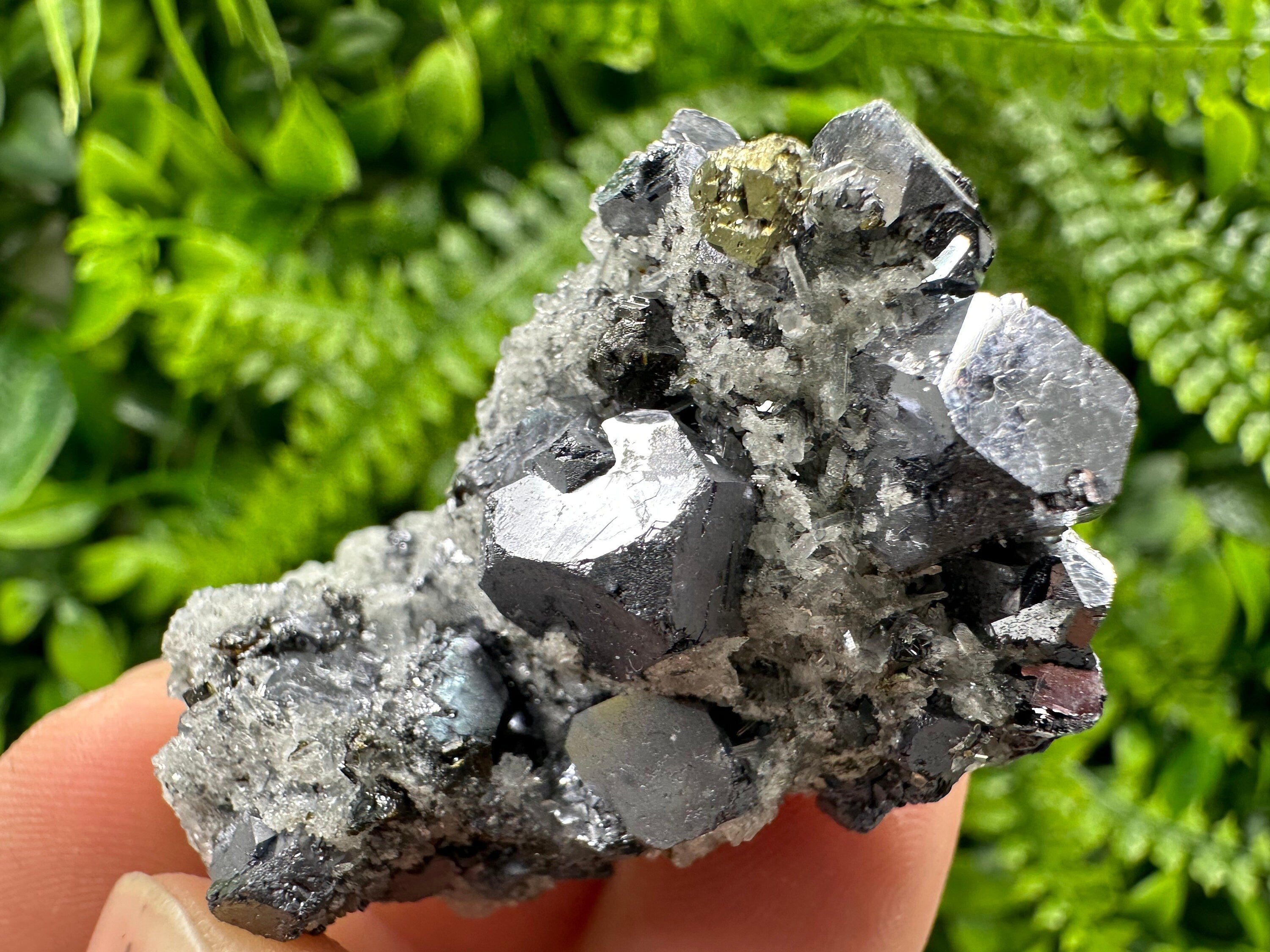 Galena Chalcopyrite on Quartz, Crystal Home Decor, Borieva Mine Bulgaria