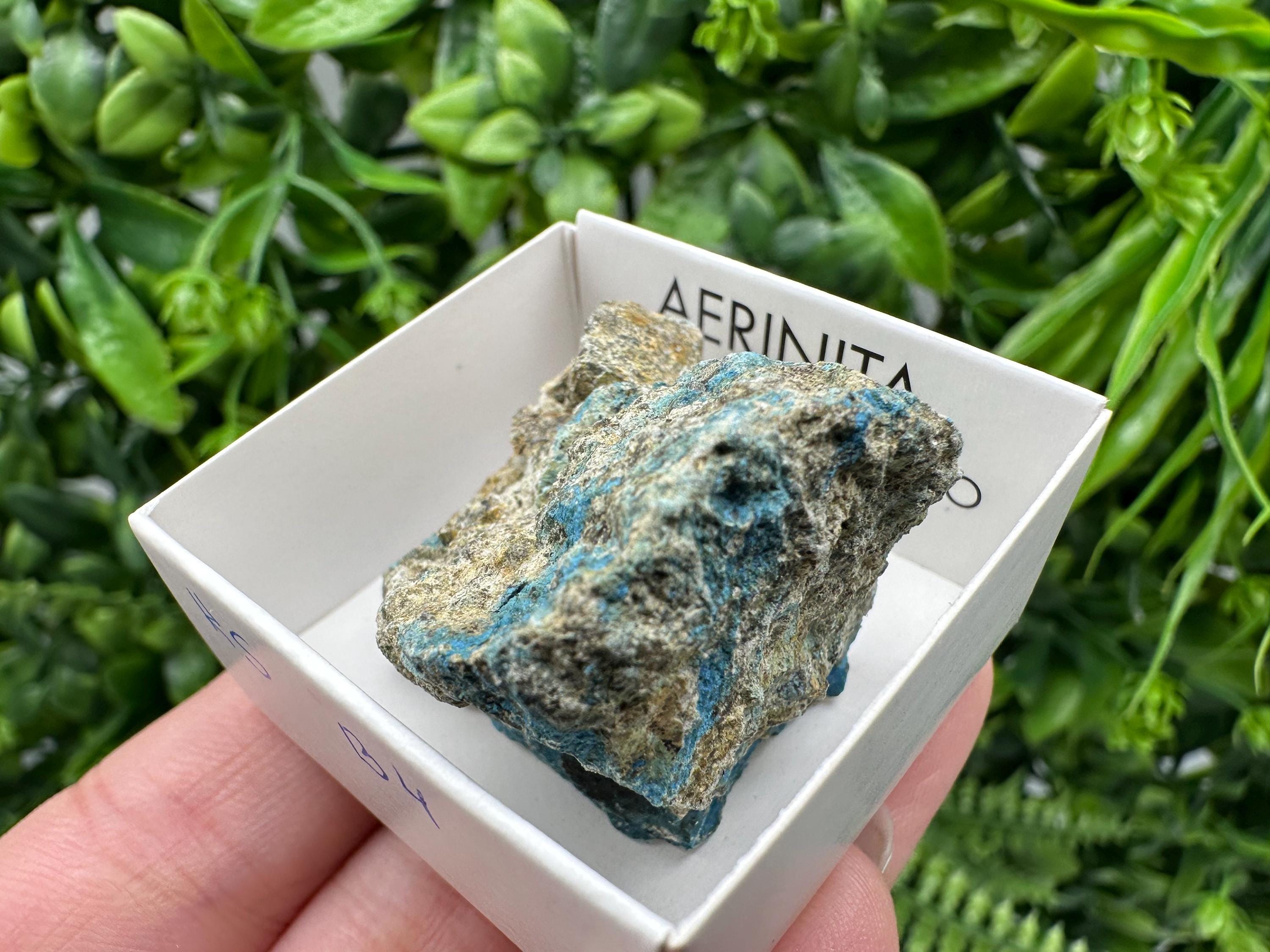 Rare Raw Aerinite Mineral Specimen: Lleida, Spain Crystal