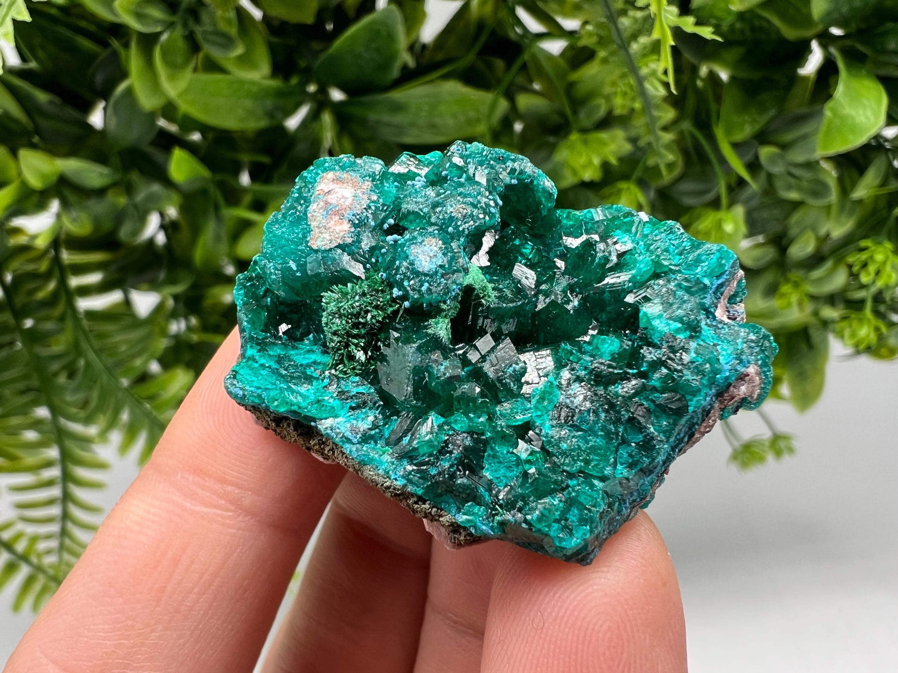 Stunning Green Dioptase from Sanda Hills,Mindouli,Pool Department,Mindouli District,Congo,green Dioptase,Dioptas Crystal,Dioptase collecting