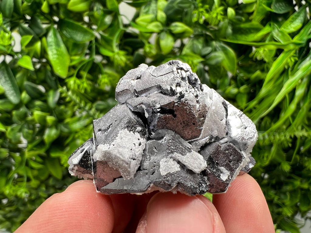 Natural Chalcopyrite with Galena Mineral Specimen, Bulgaria