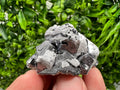 Natural Chalcopyrite with Galena Mineral Specimen, Bulgaria