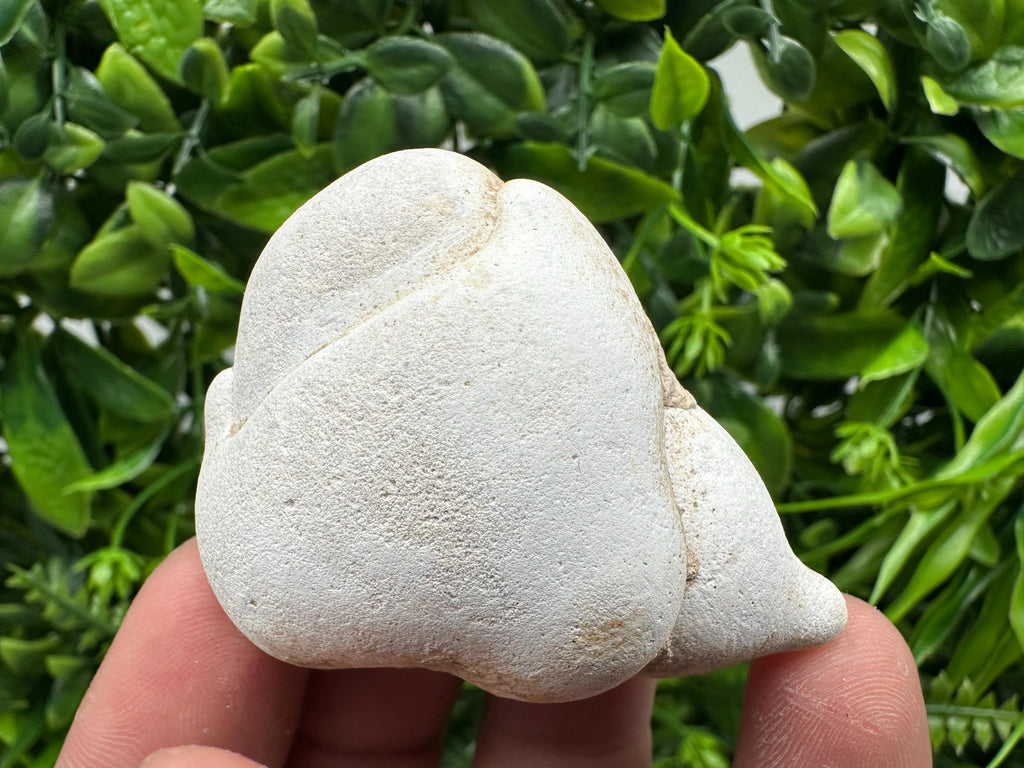 Menalite Crystal: White Fairy Stone, Moroccan A+ Grade