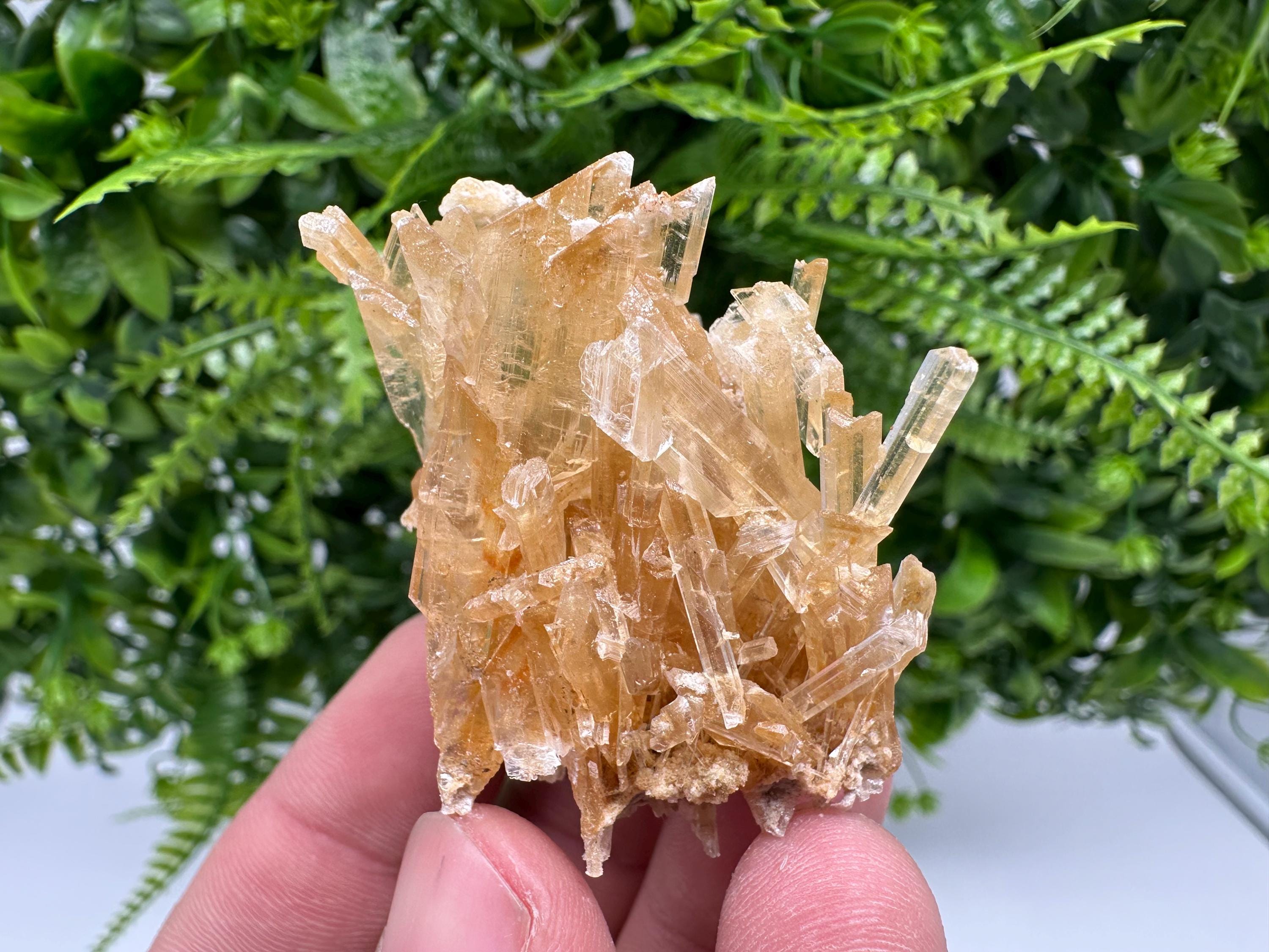 Brown Gypsum Selenite Crystal, Rudna Mine Poland, Mineral Specimen