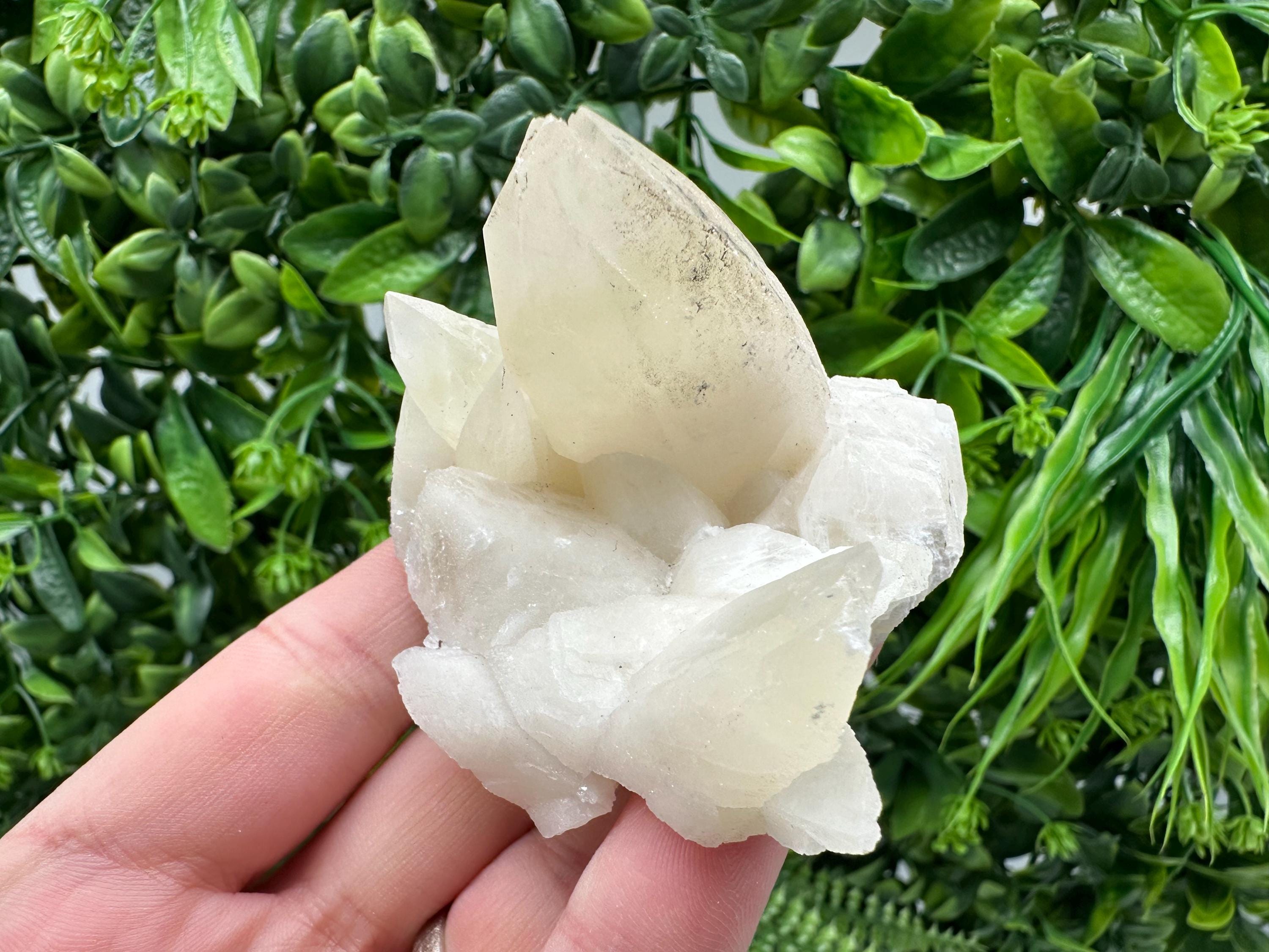 Calcite on Green Quartz: Laki Bulgaria Healing Crystal