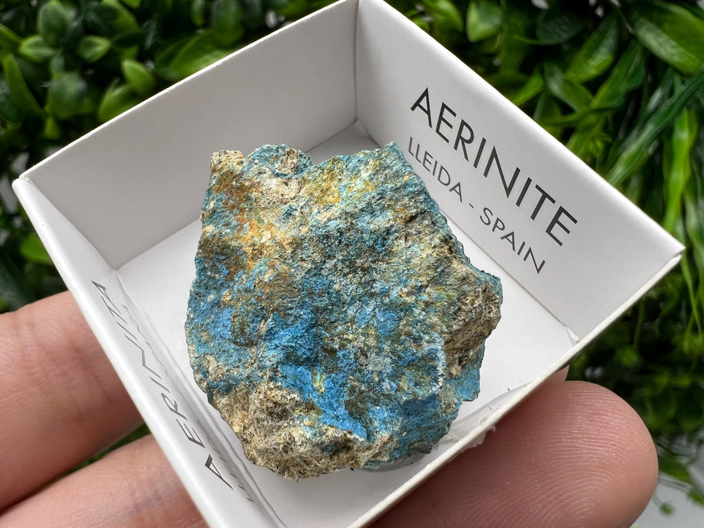 Rare Raw Aerinite Crystal, Mineral Specimen from Lleida, Spain