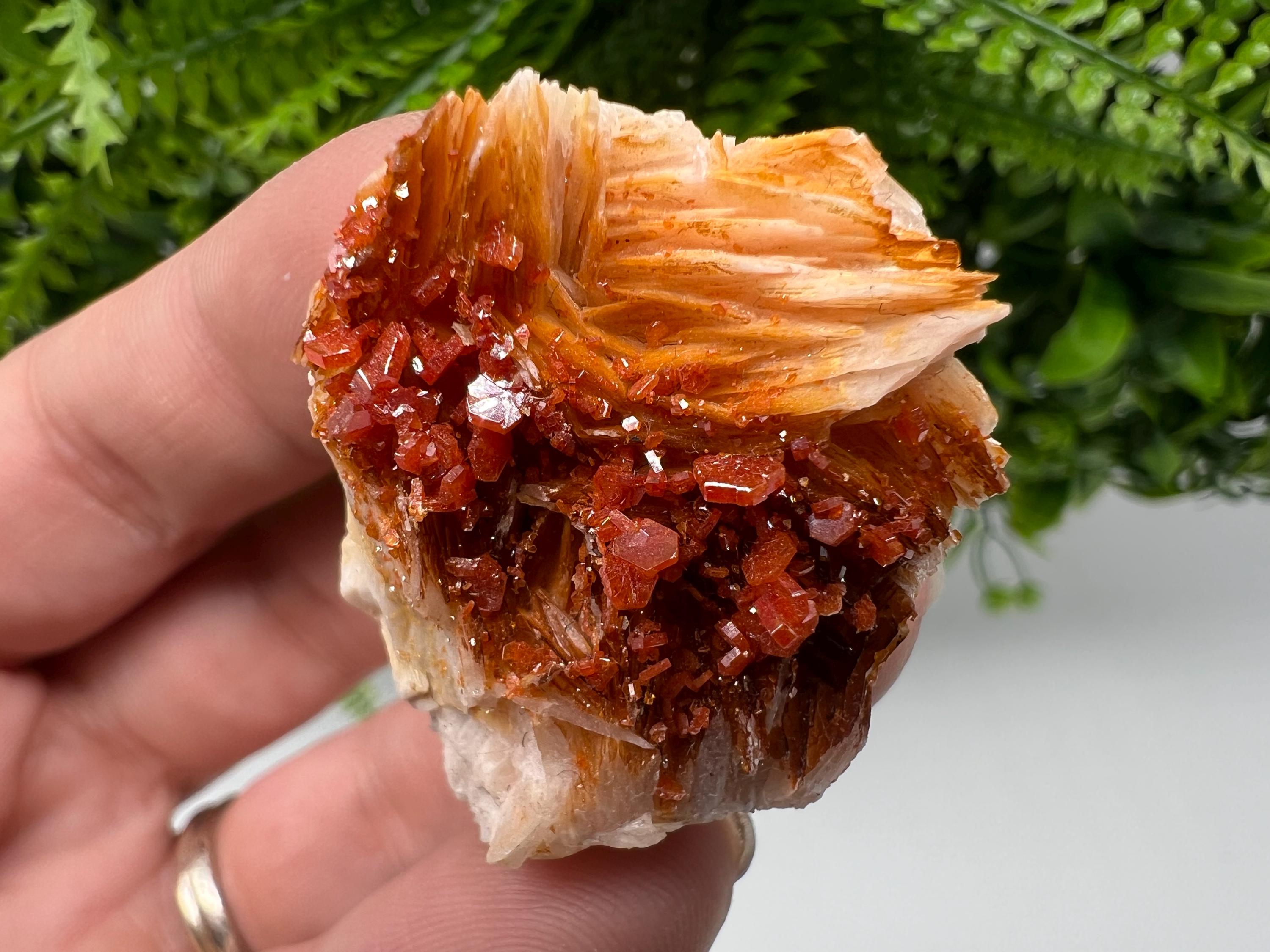 Red Vanadinite on Barite from Marocco,crystal minerals Speciment cluster Vanadinite crystal Vanadinite Geology Vanadinite cluster minerals