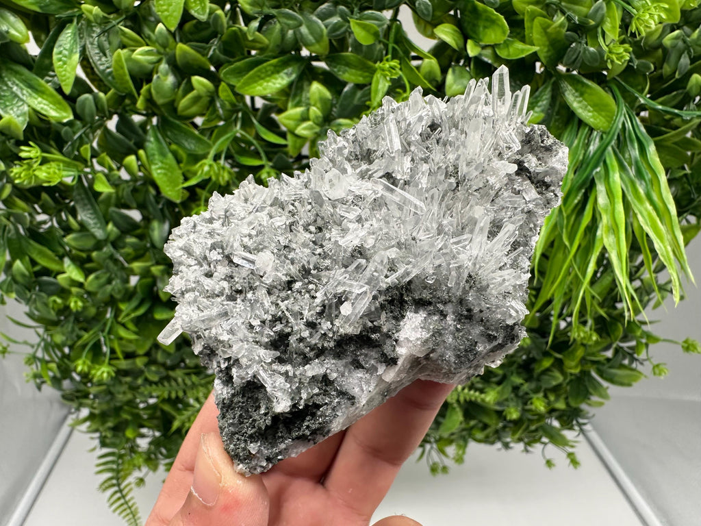 Wonderful Transparent Quartz on Chlorite Matrix,From Borieva mine,Madan,Bulgaria,Quartz,Quartz crystal,mineral specimen,collection quartz