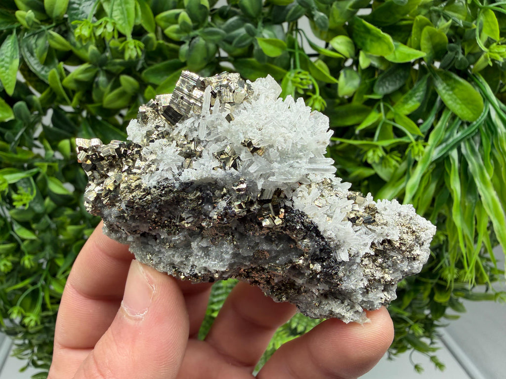 Pyrite Sphalerite Quartz  Mineral Specimen, Krushev dol Mine