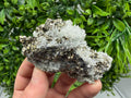 Pyrite Sphalerite Quartz  Mineral Specimen, Krushev dol Mine