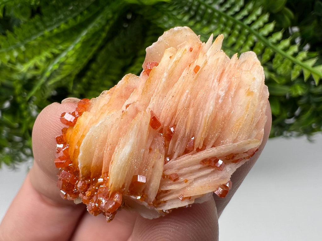 Red Vanadinite on Barite, Morocco Crystal Specimen