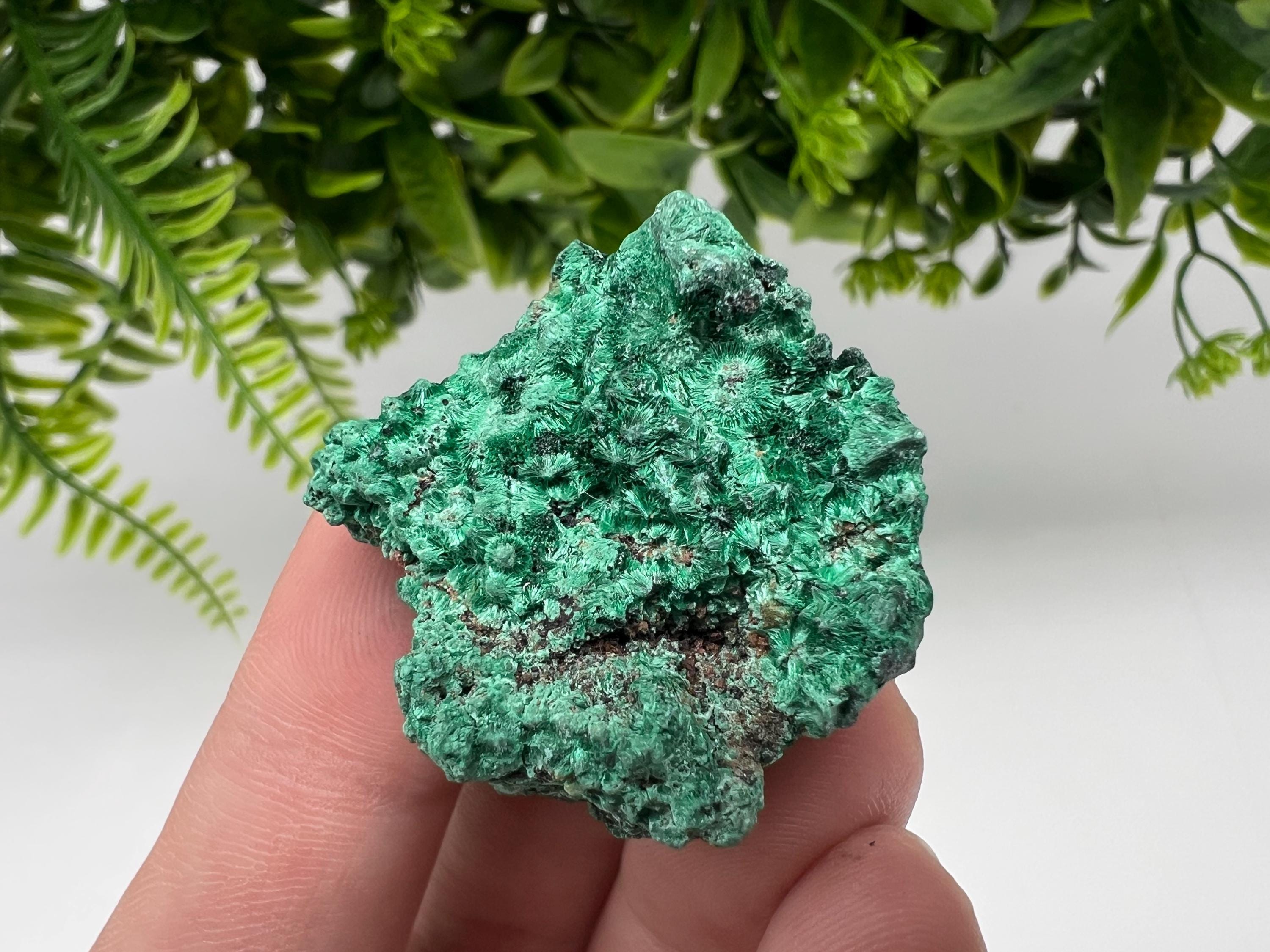 Malachite Crystal from Congo,Minerals,Crystals from Congo,Green Malachite, Malachite,Natural Malachite,Malachite Stone,Chakra, Specimens