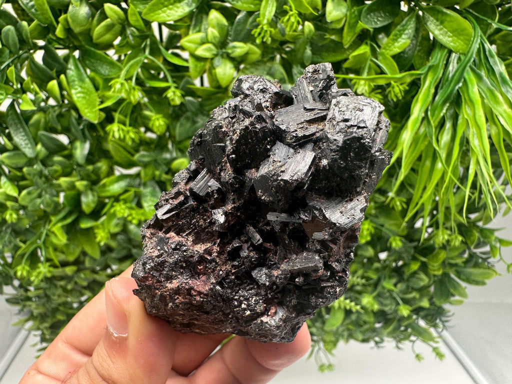 Rare Tourmaline,Rubellite from Vitosha Mountain,Bulgaria,Large Black Tourmaline,Rubellite,mineral specimen,collection,collections Tourmaline