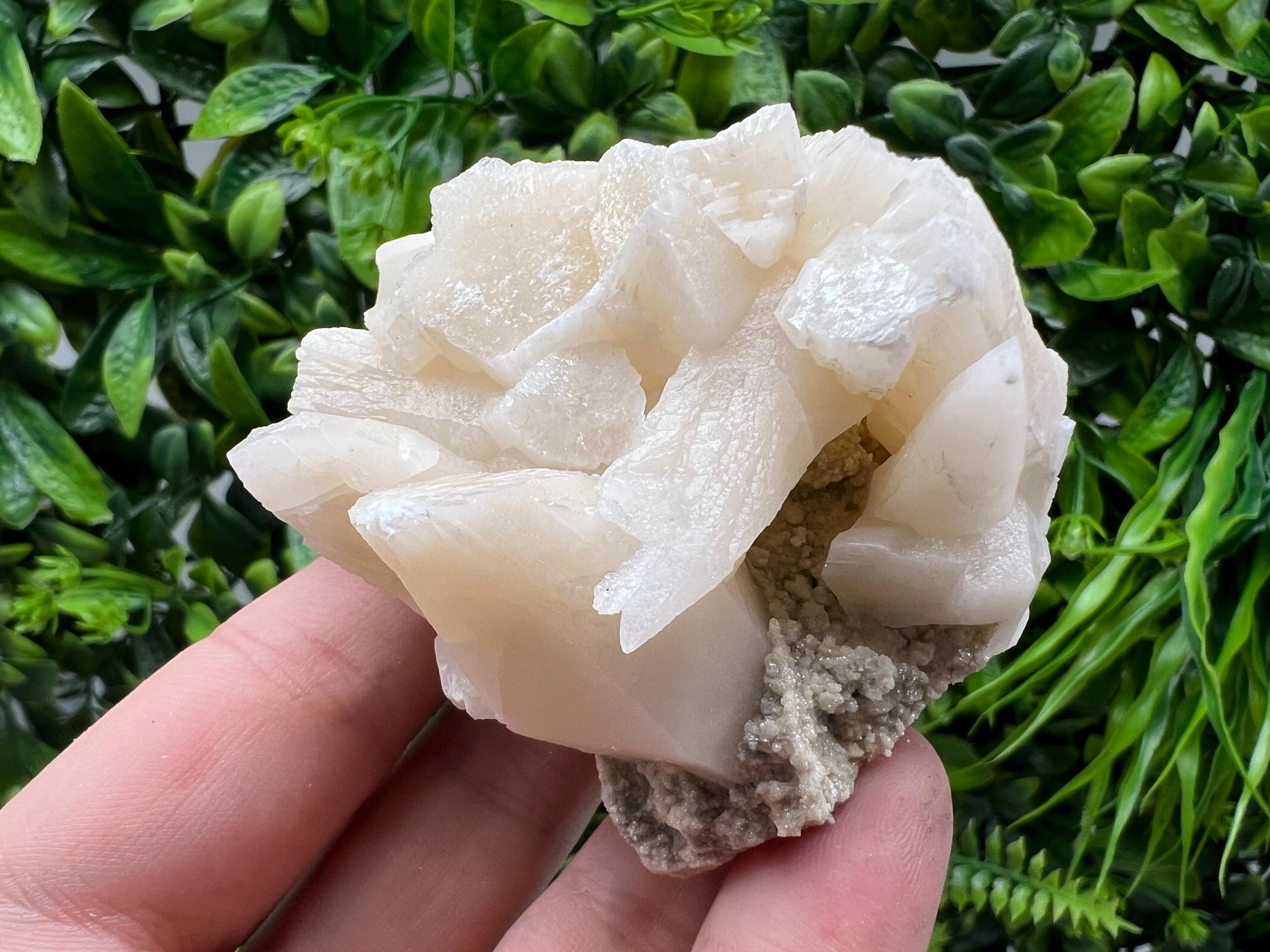 Calcite on Green Quartz: Djurcovo Mine, Bulgaria Healing Crystal