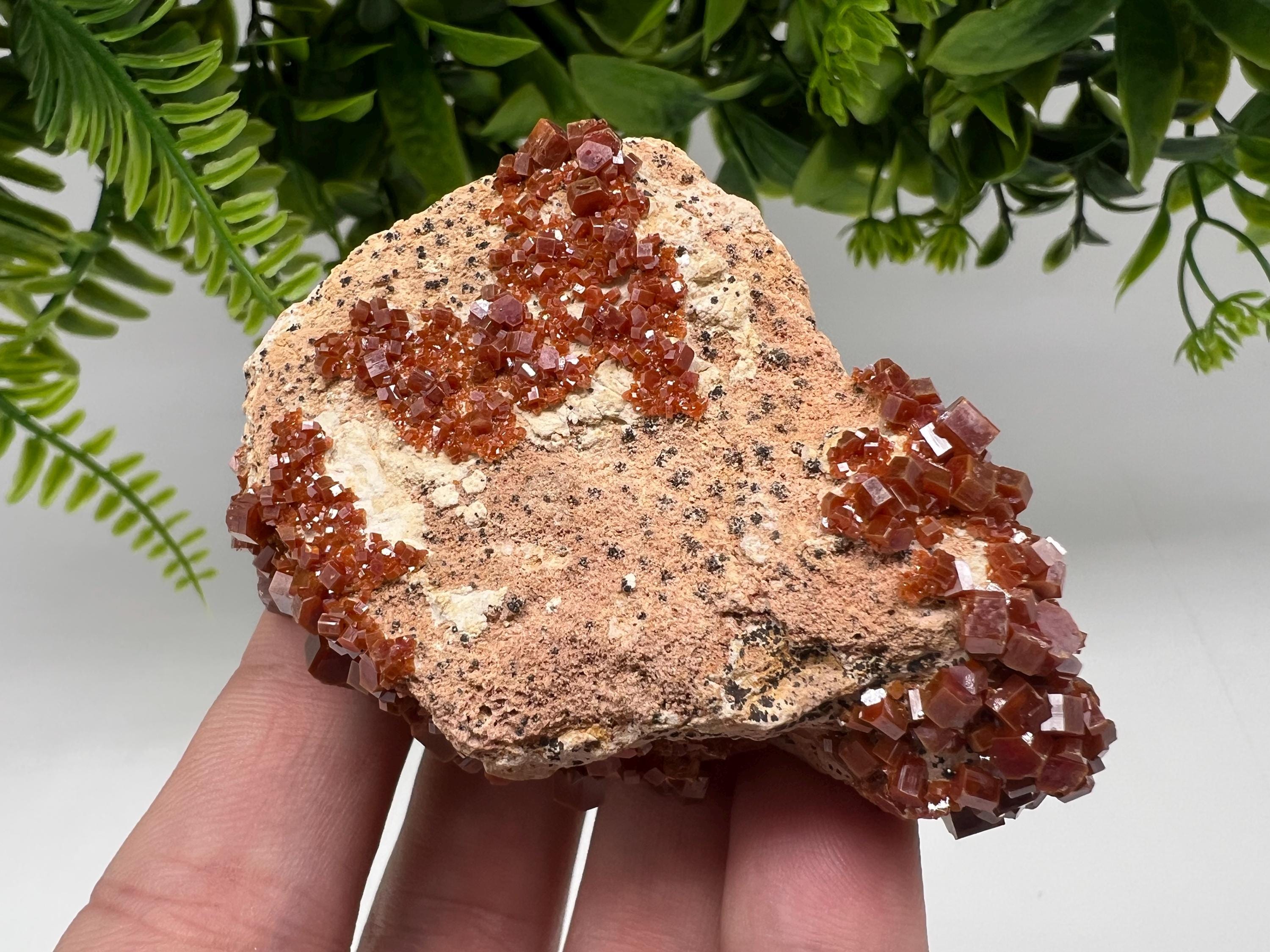 Red Vanadinite on Barite from Marocco,crystal minerals Speciment cluster Vanadinite crystal Vanadinite Geology Vanadinite cluster minerals