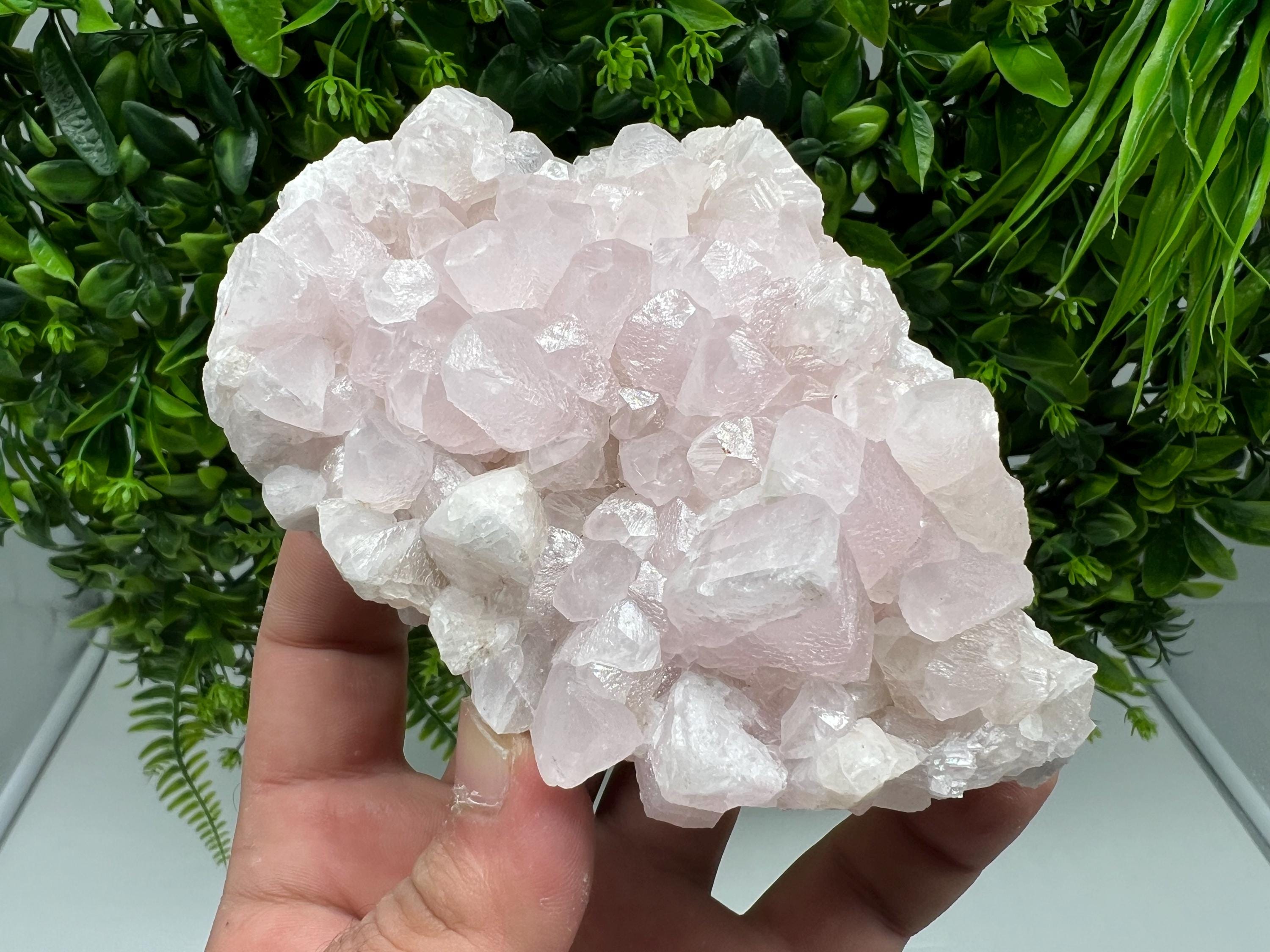 UV Reactive Mangano Calcite Crystal: Androvo Mine, Bulgaria
