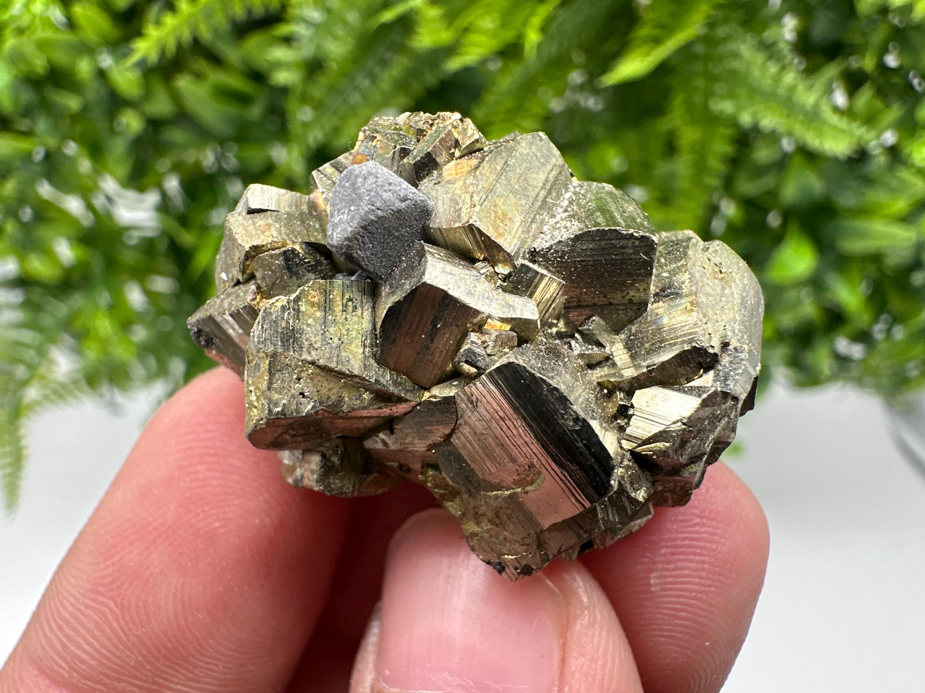 Rare crystallisation Pyrite,Borieva mine,Bulgaria,floating Pyrite,golden Pyrite,Pyrite cluster,mini Collection specimen,Rainbow Pyrite