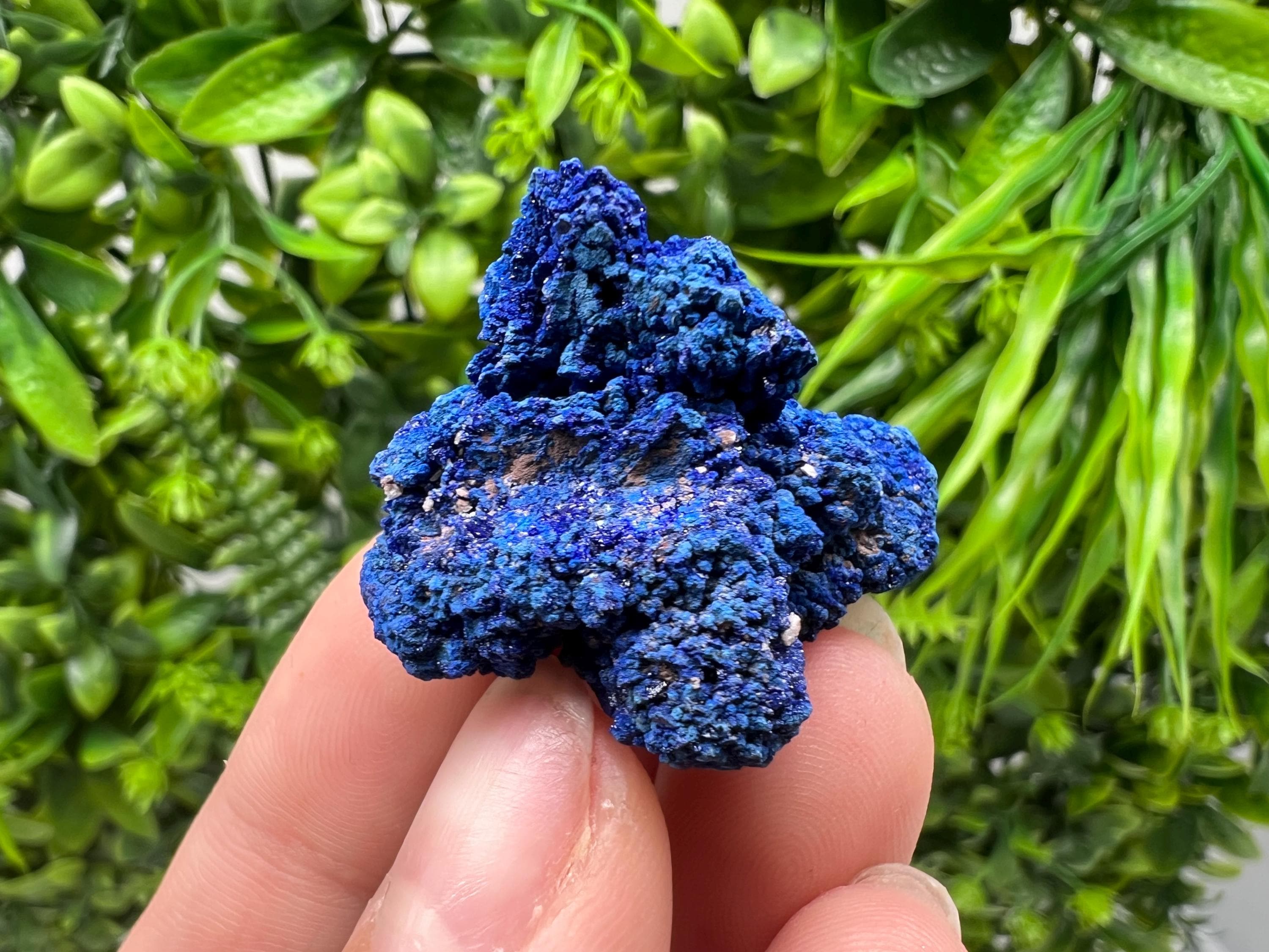 Crystallized Azurite-Kerrouchen,Morocco-Blue Azurite Specimen-High Quality Blue Azurite-Azurite Mineral Specimen, gemmy,lustrous of Azurite