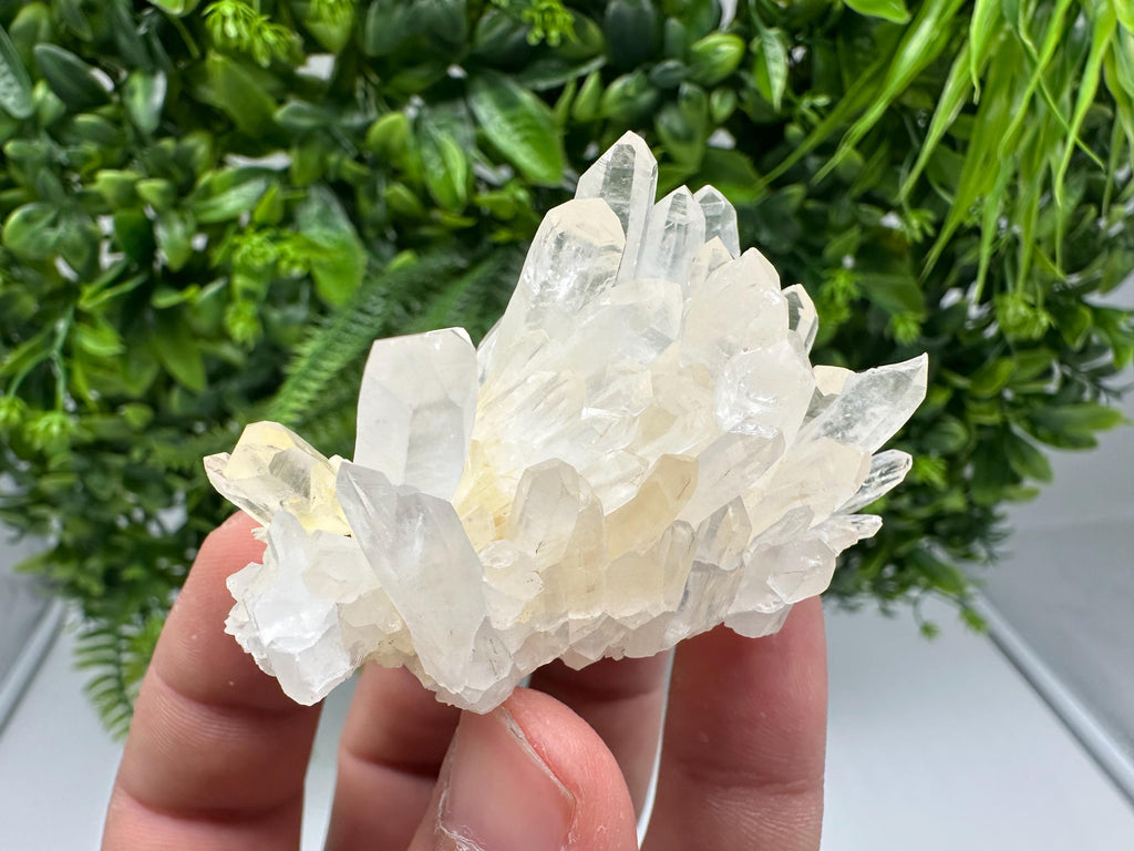 Stunning Quartz covered whit iron oxide limonite natural minerals souvenir crystal home decor stone collection minerals 9 th September mine