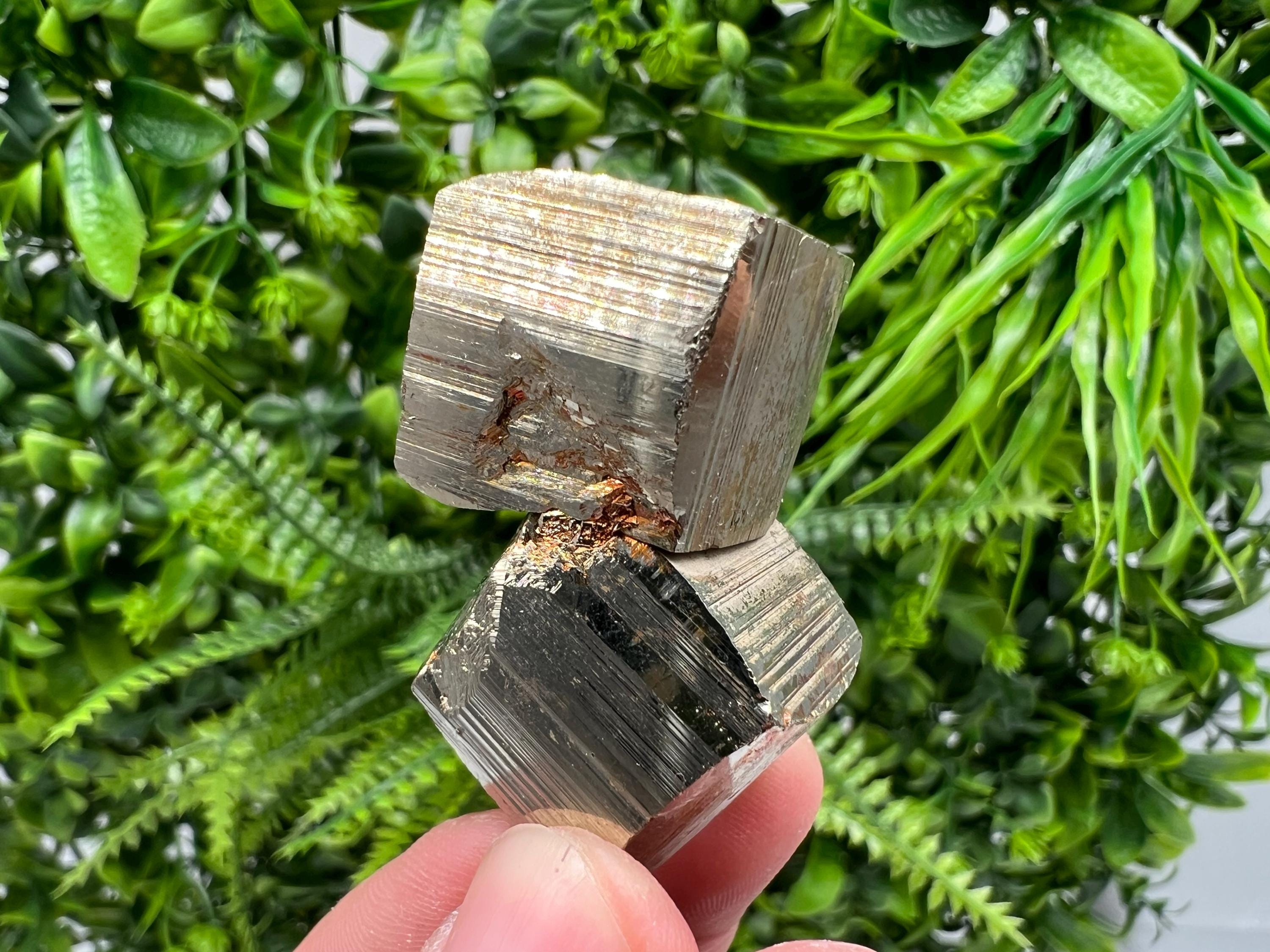 Rare Mini Pyrite Cluster: Borieva Mine, Bulgaria