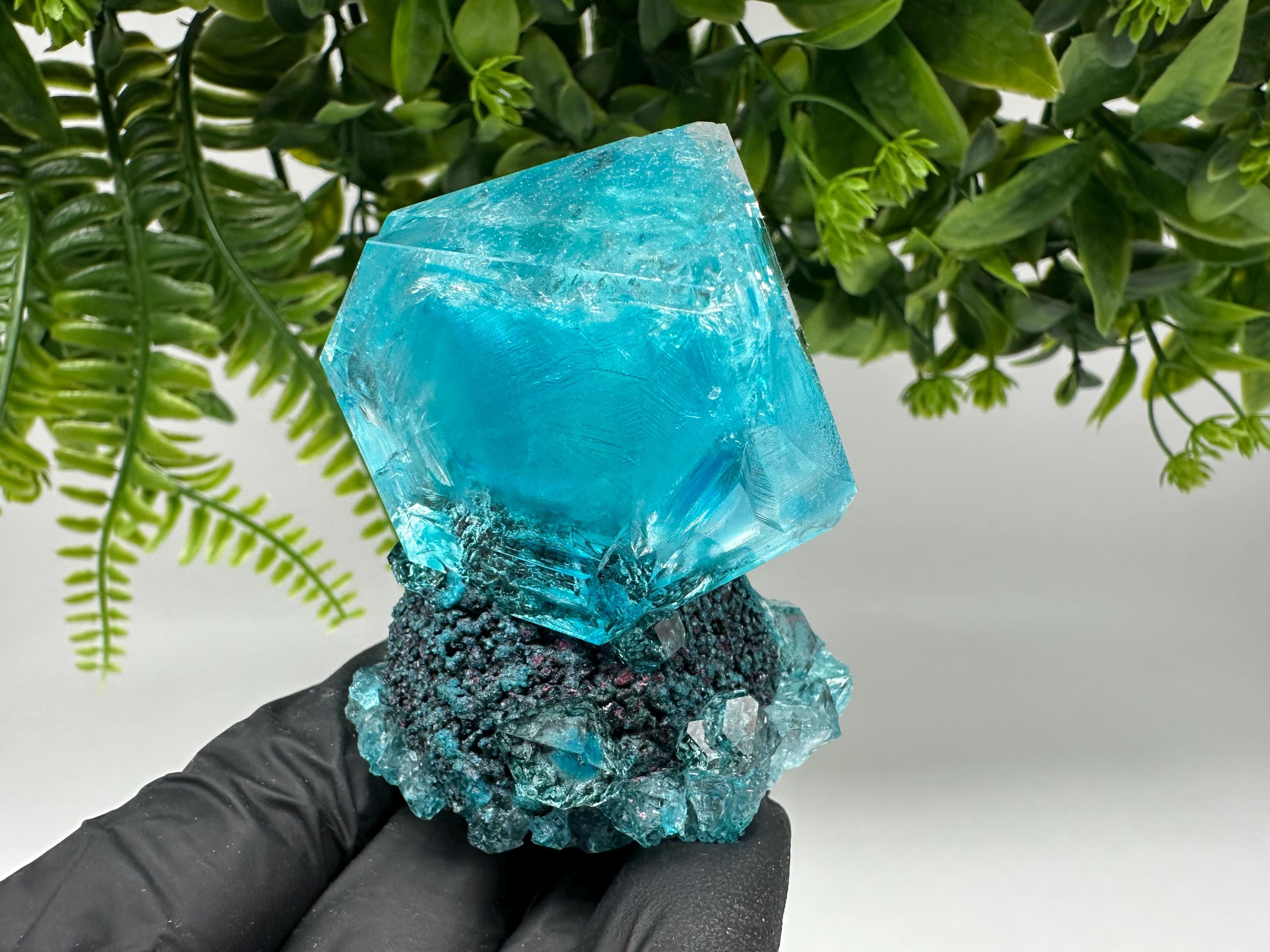 Exceptional Turquoise ALUNITE Aqua Crystal on Matrix UV Active, lab minerals