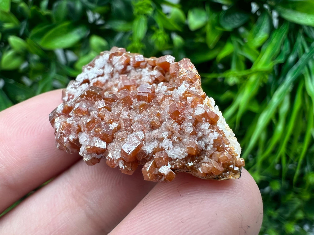 Red Vanadinite on Barite from Marocco,crystal minerals Speciment cluster Vanadinite crystal Vanadinite Geology Vanadinite cluster minerals