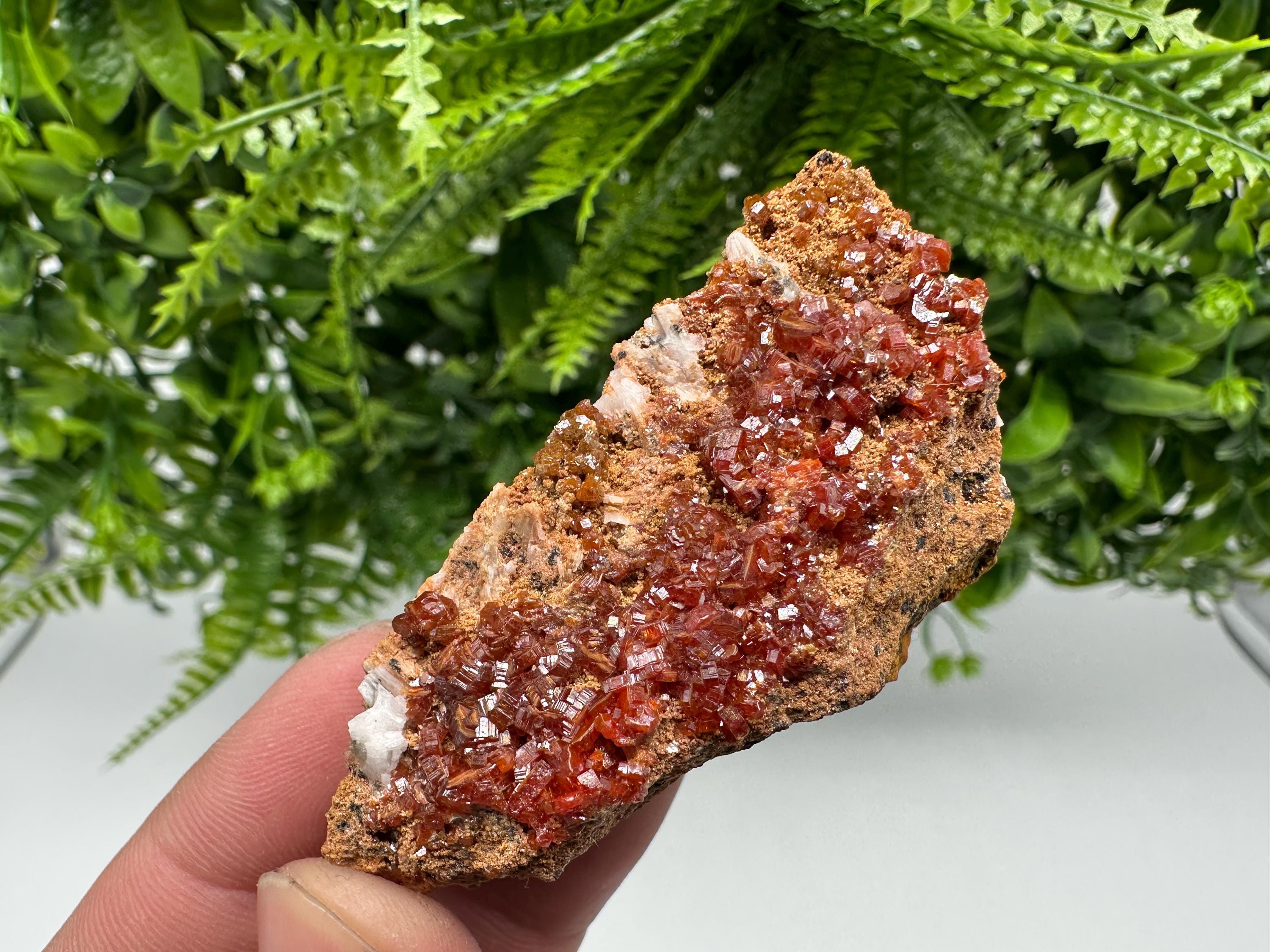 Red Vanadinite Crystal Cluster on Barite Matrix, Morocco Mineral Specimen