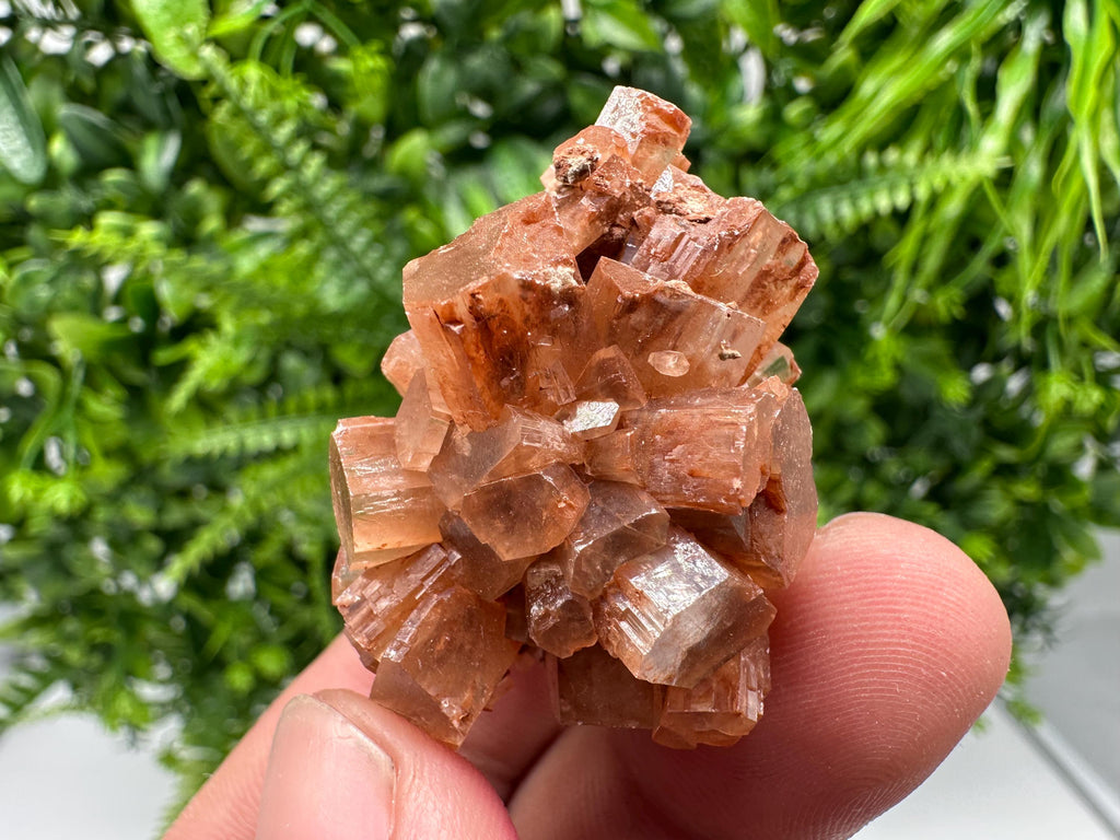 Moroccan Aragonite Sputnik Cluster: Raw Crystal Stone Decor