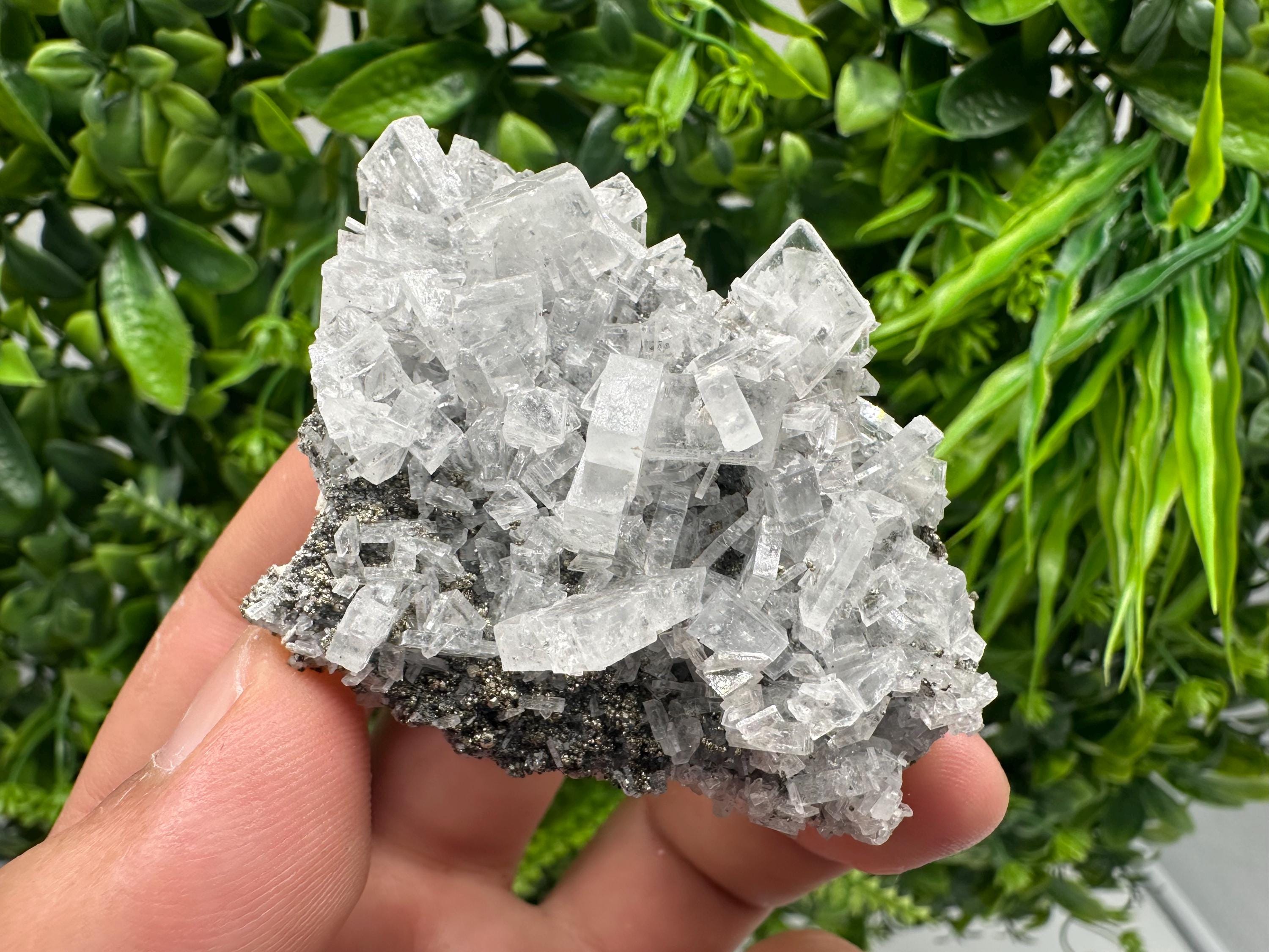Barite Marcasite on Chalcedony, Androvo Mine Bulgaria, Rare Crystal Cluster