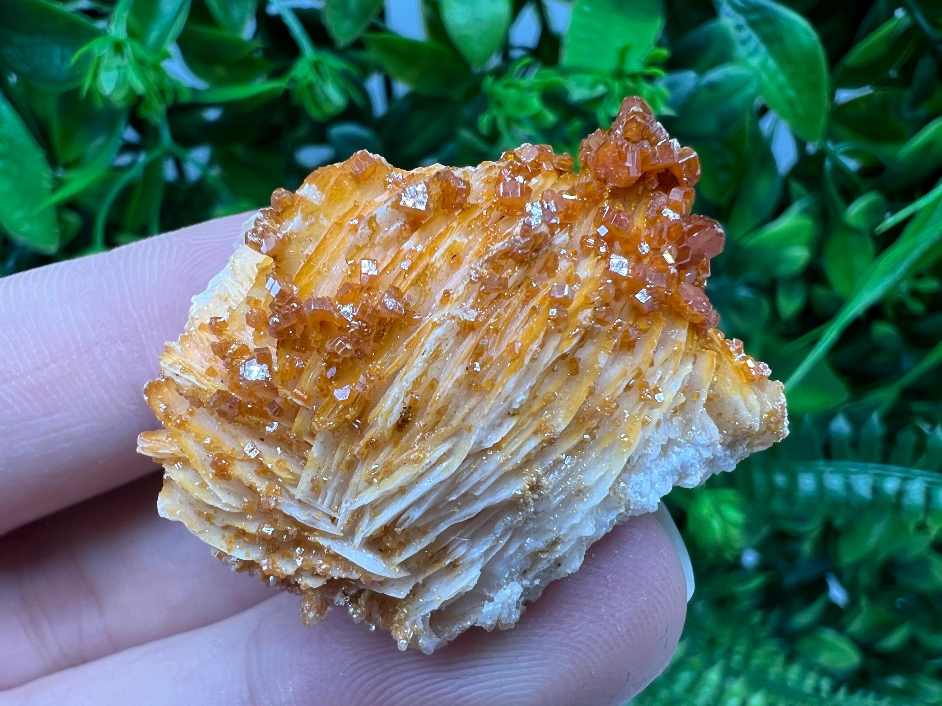 Red Vanadinite on Barite from Marocco,crystal minerals Speciment cluster Vanadinite crystal Vanadinite Geology Vanadinite cluster minerals