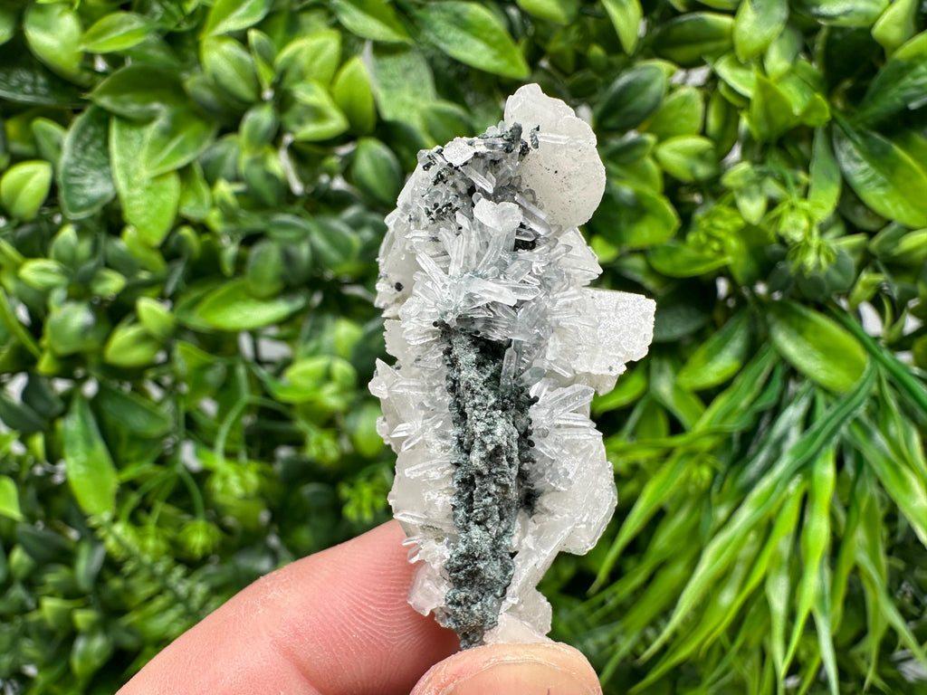 Quartz Calcite on Chlorite Matrix, Borieva Mine Mineral Specimen