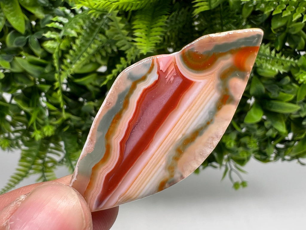 Polished Agate Slice: Spiritual Healing Crystal Coaster (3/6cm)