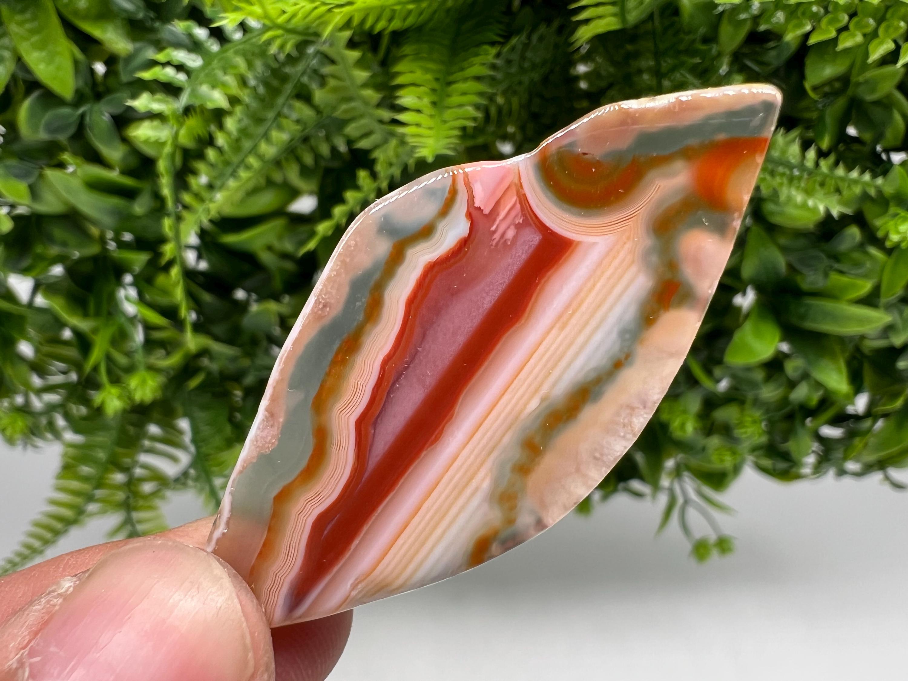 Polished Agate Slice: Spiritual Healing Crystal Coaster (3/6cm)