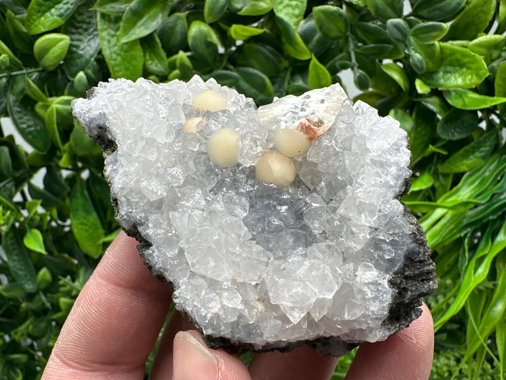 Transparent Apophyllite on Chalcedony, India Mineral Specimen