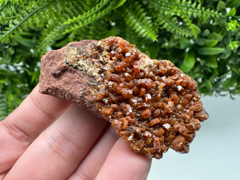 Red Vanadinite on Matrix from Marocco,crystal minerals Speciment cluster Vanadinite crystal Vanadinite Geology Vanadinite cluster minerals