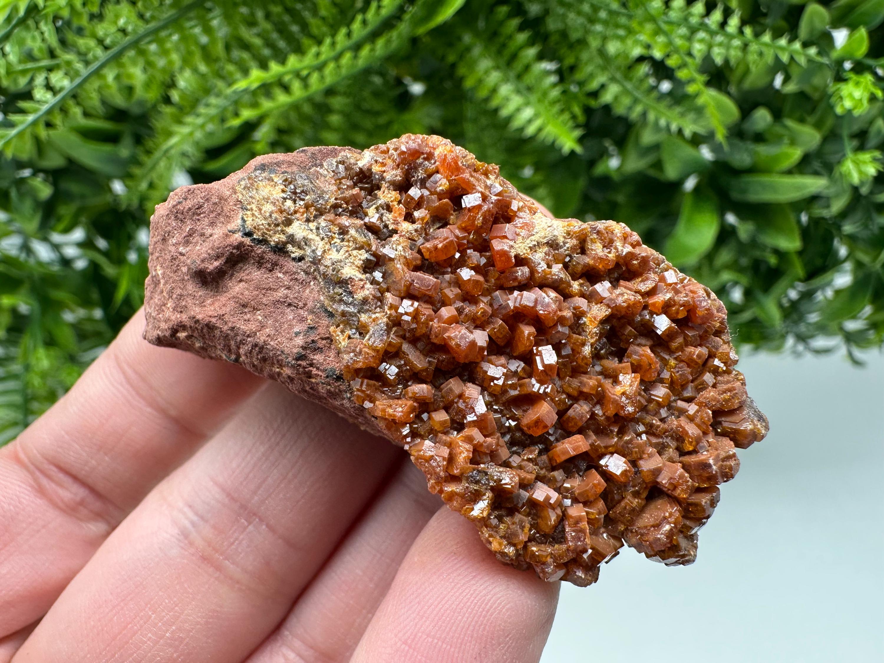 Red Vanadinite on Matrix from Marocco,crystal minerals Speciment cluster Vanadinite crystal Vanadinite Geology Vanadinite cluster minerals