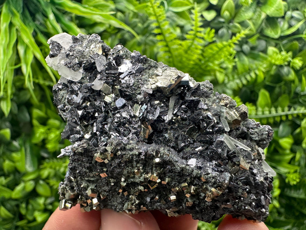 Sphalerite on Quartz with Pyrite, Borieva Mine Mineral Specimen