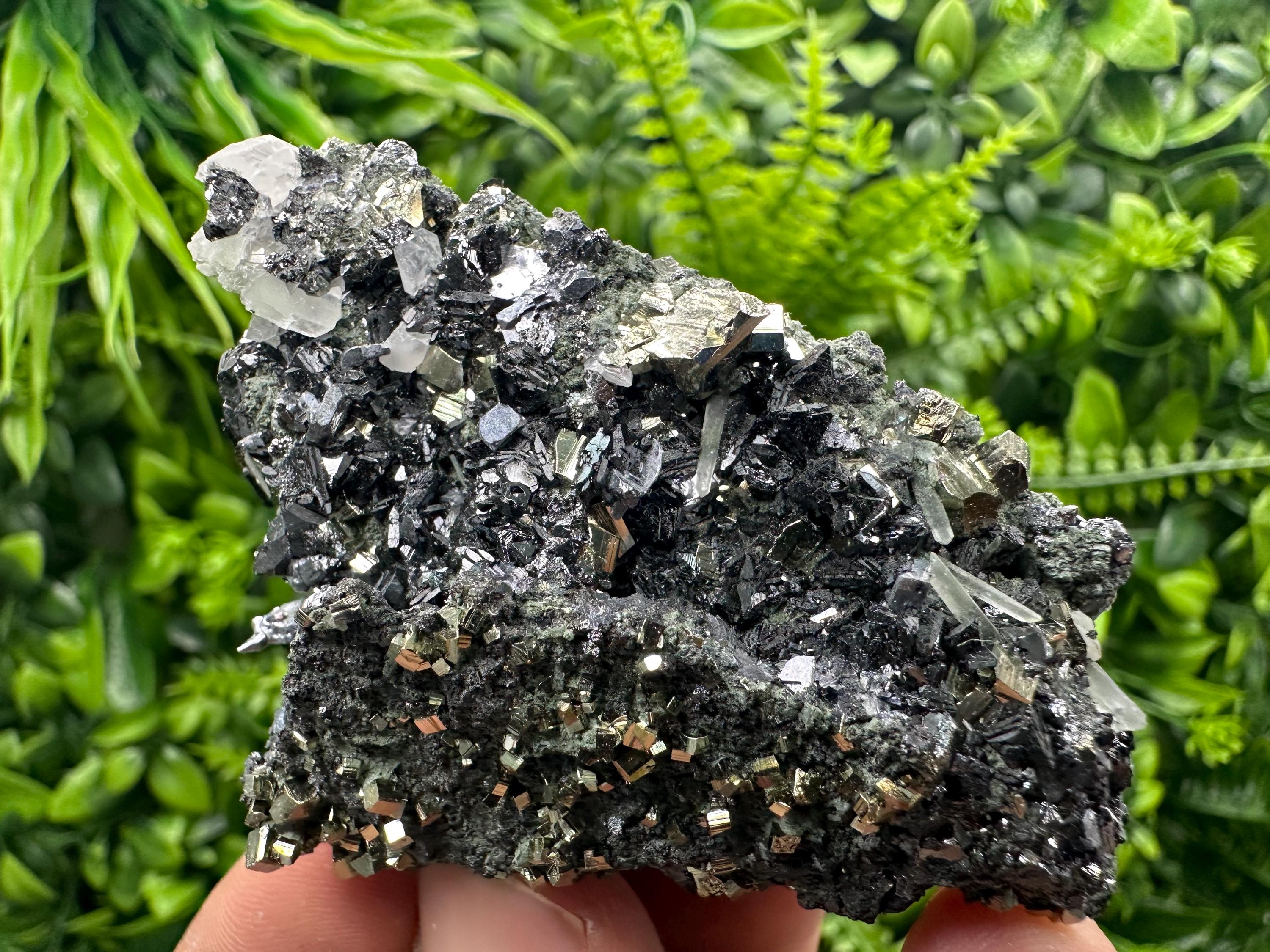 Sphalerite on Quartz with Pyrite, Borieva Mine Mineral Specimen