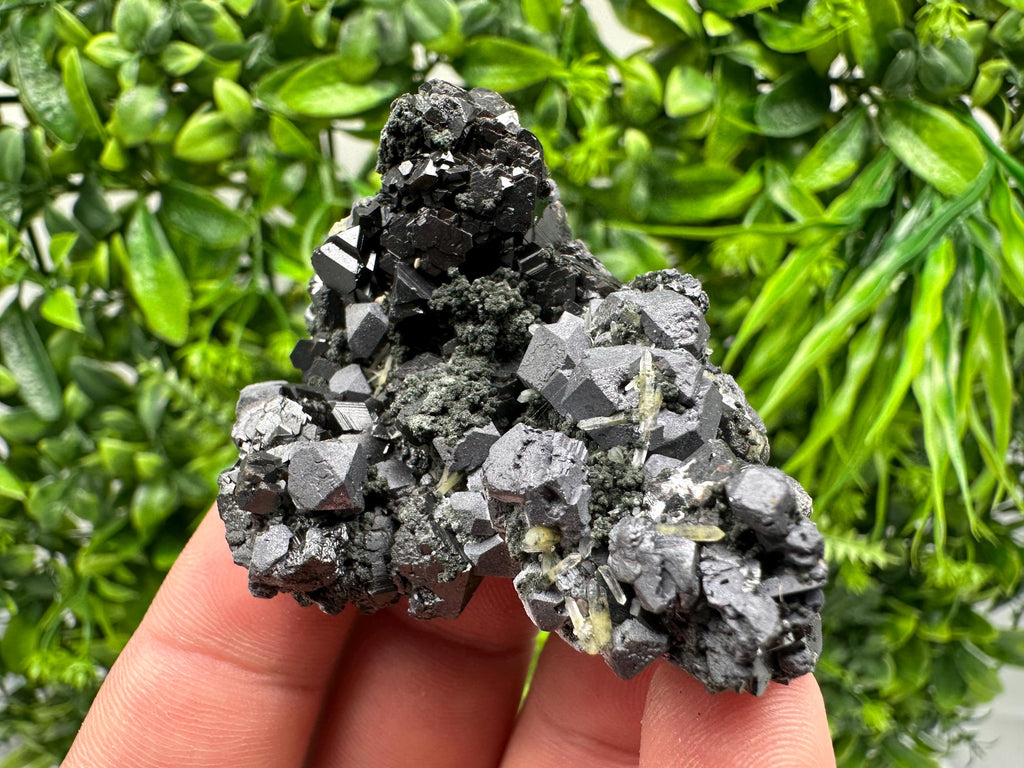 Sphalerite Galena Chlorite Cluster, Borieva Mine, Bulgaria