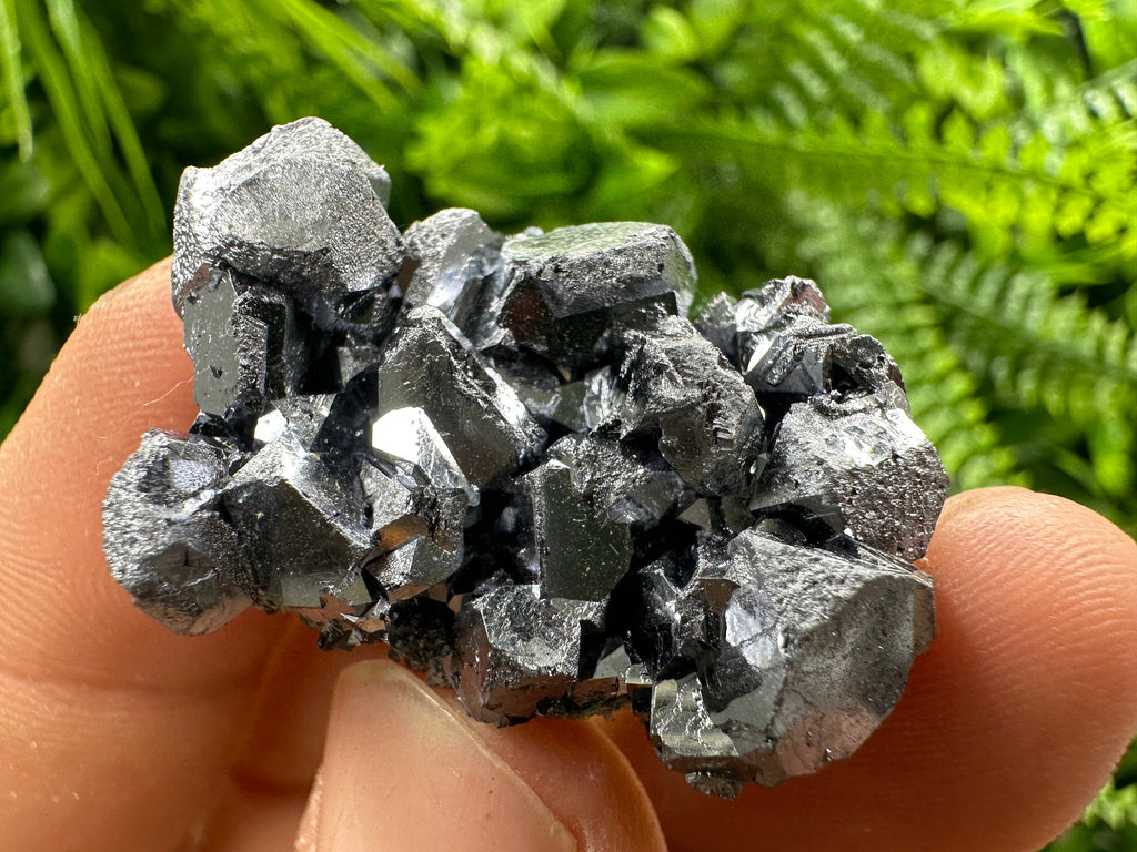 Shiny Galena Cluster: Borieva Mine, Madan, Bulgaria