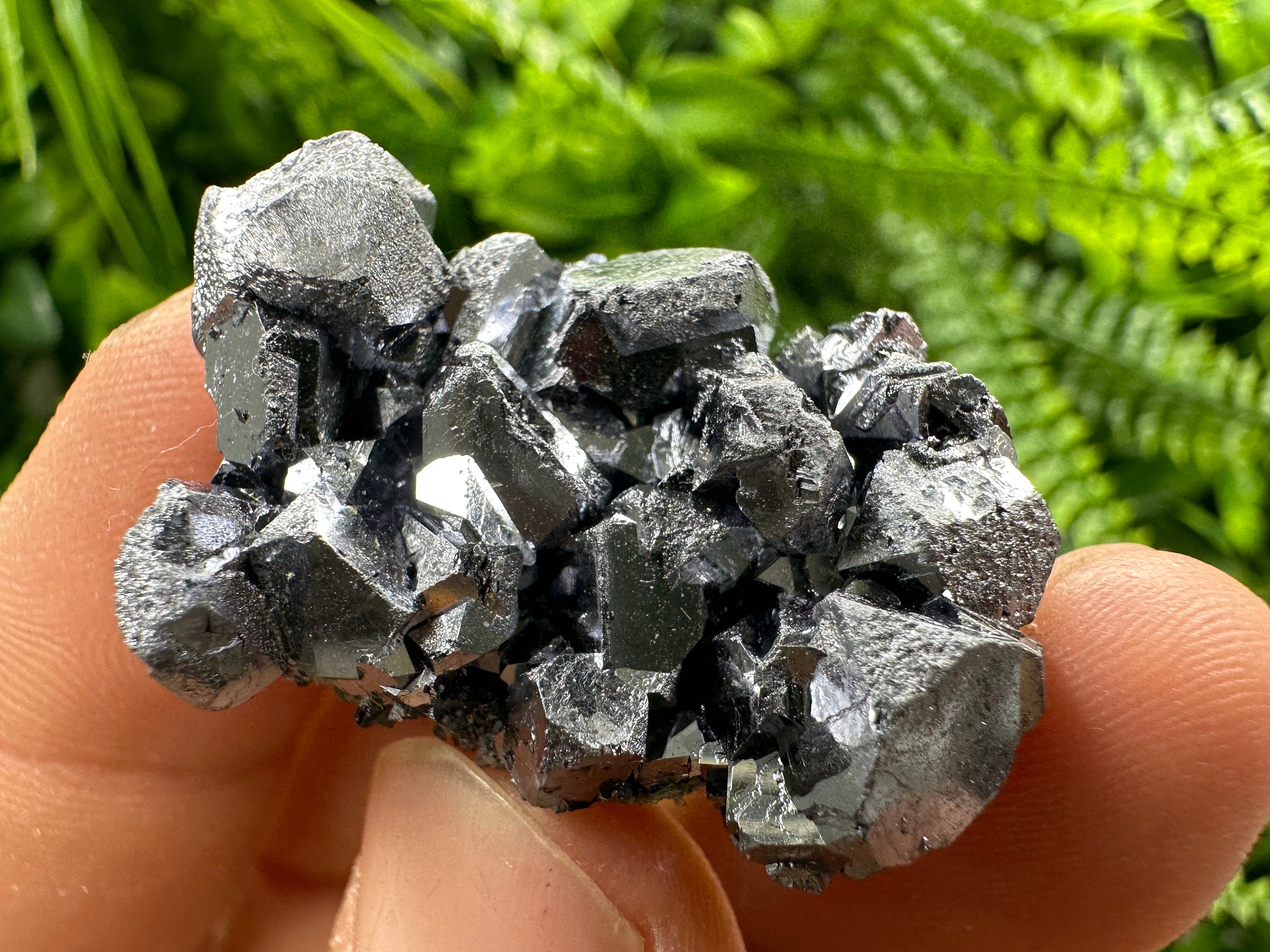 Shiny Galena Cluster: Borieva Mine, Madan, Bulgaria
