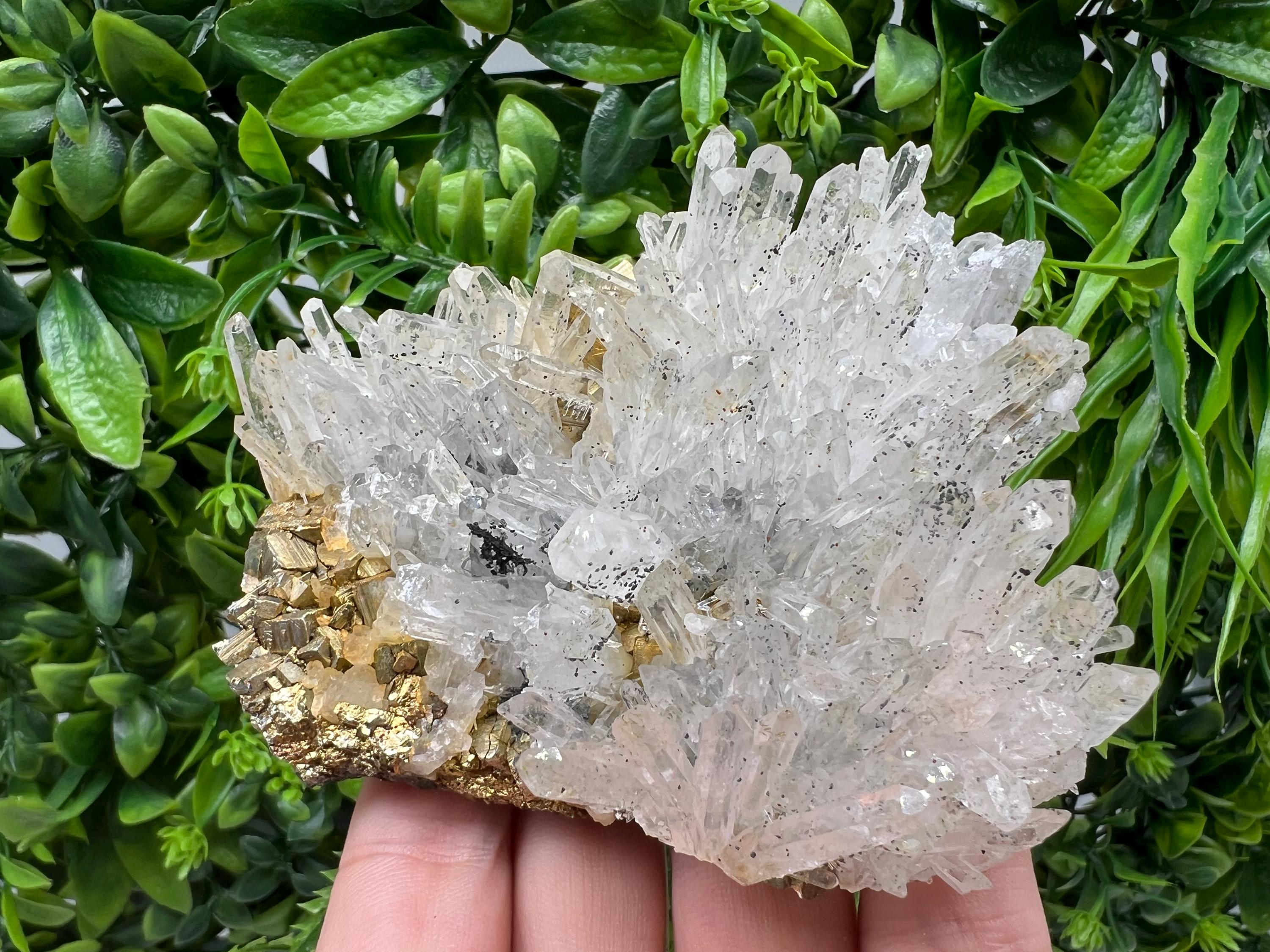 Stunning Transparent Quartz,from Borieva mine,natural collection mineral specimen rare crystal,home decor crystal,quartz cluster,Quartz,gift